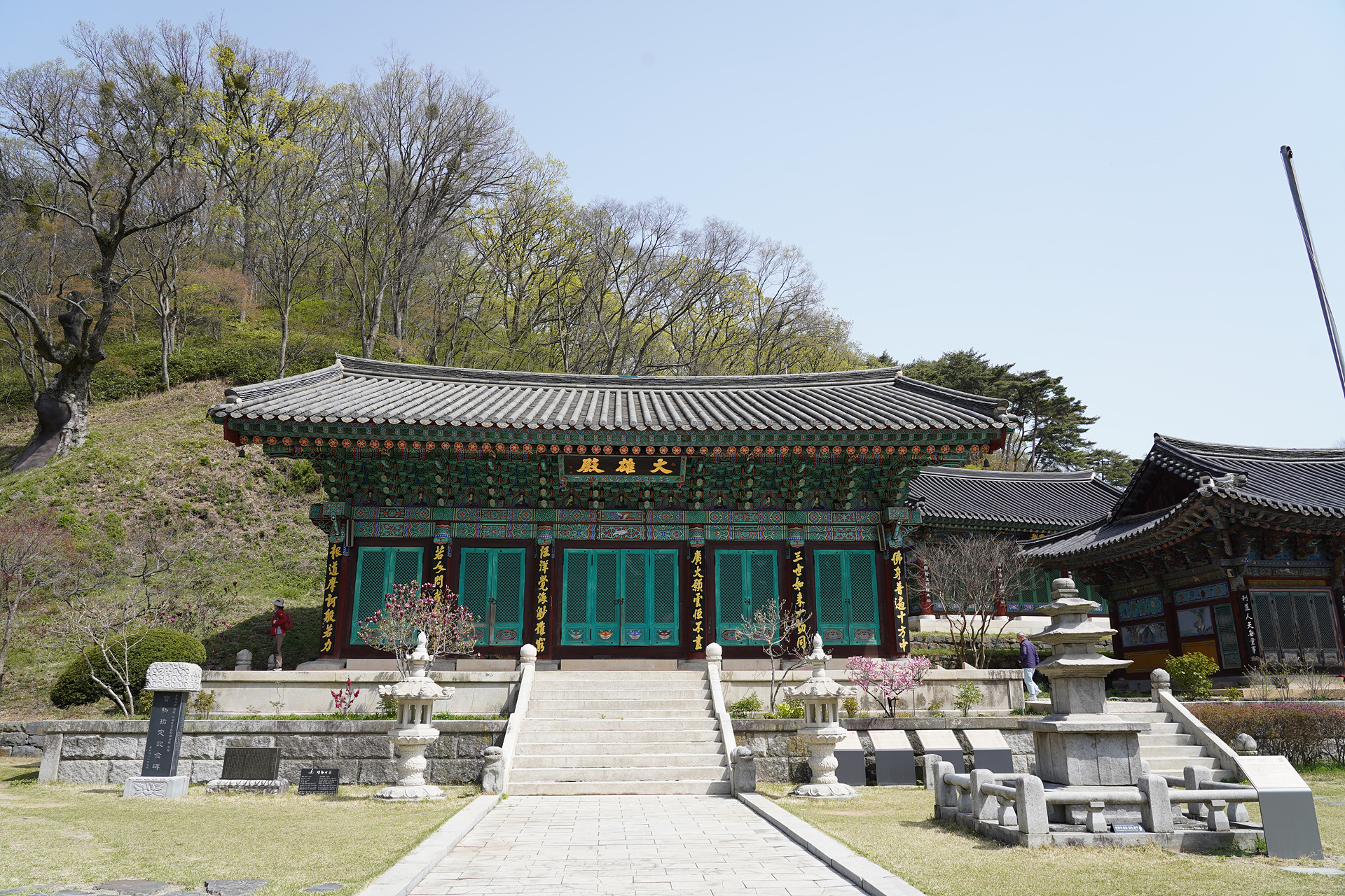 o-DSC08605.jpg