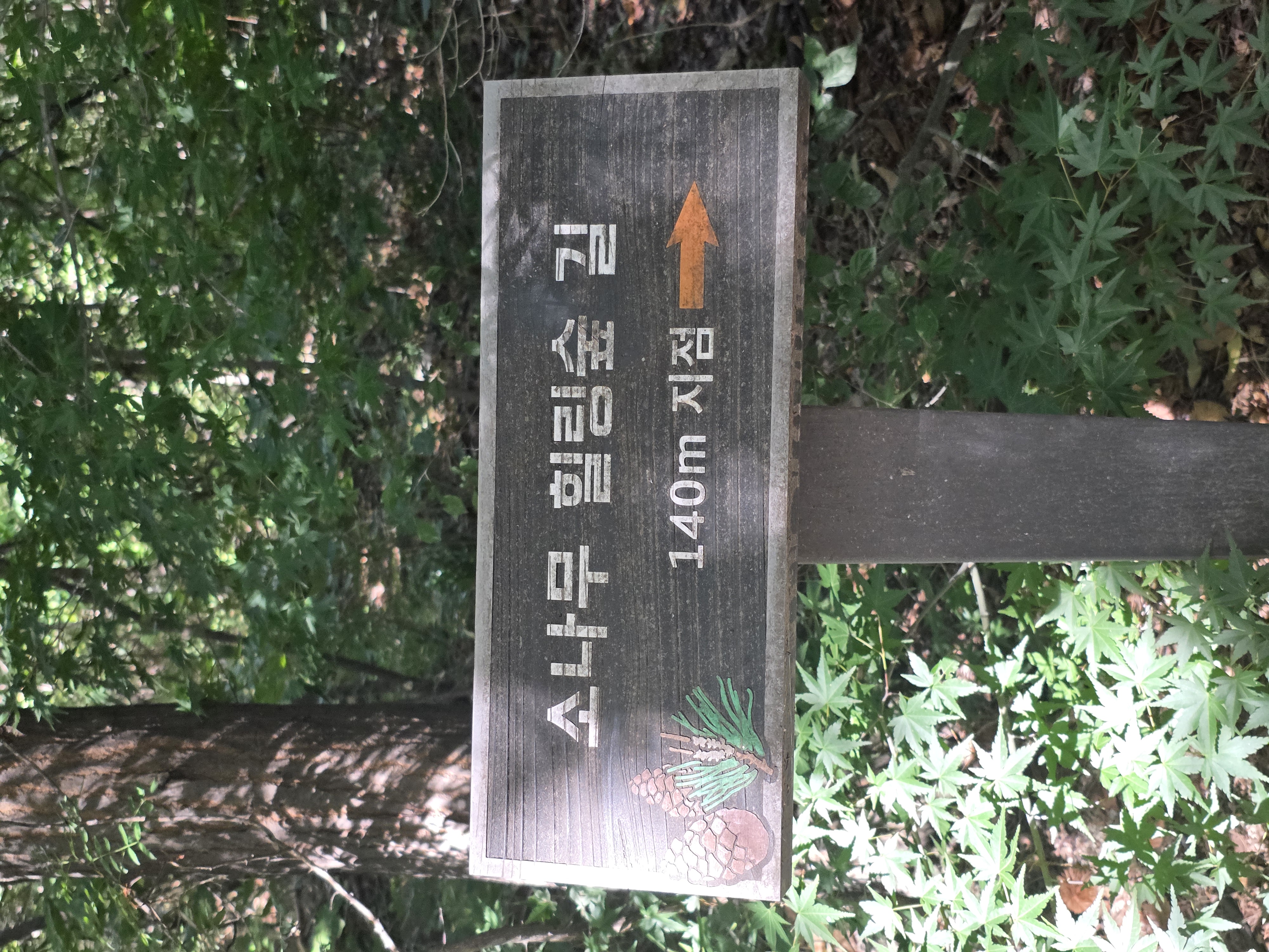1000067482.jpg
