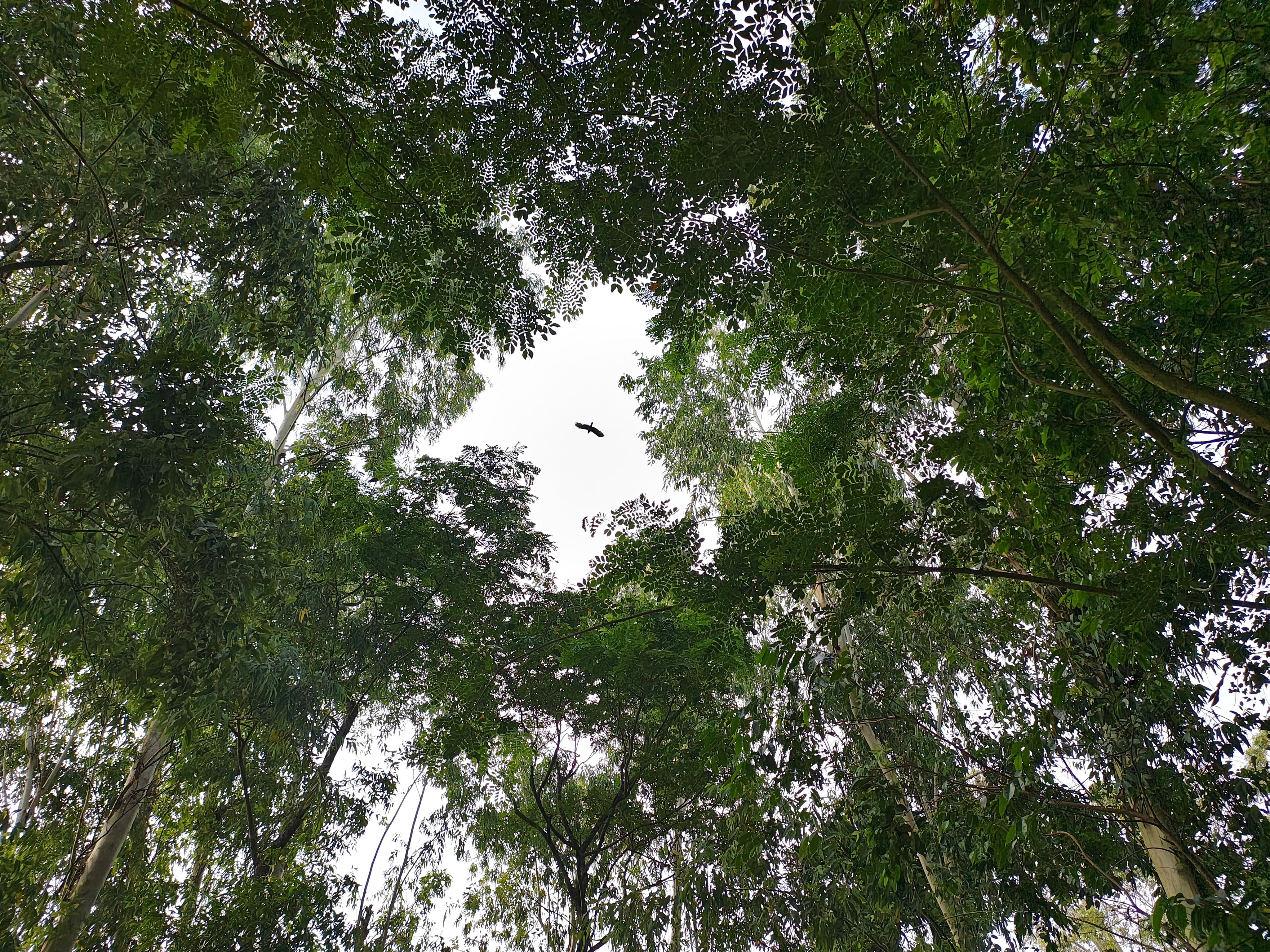 1000067784.jpg