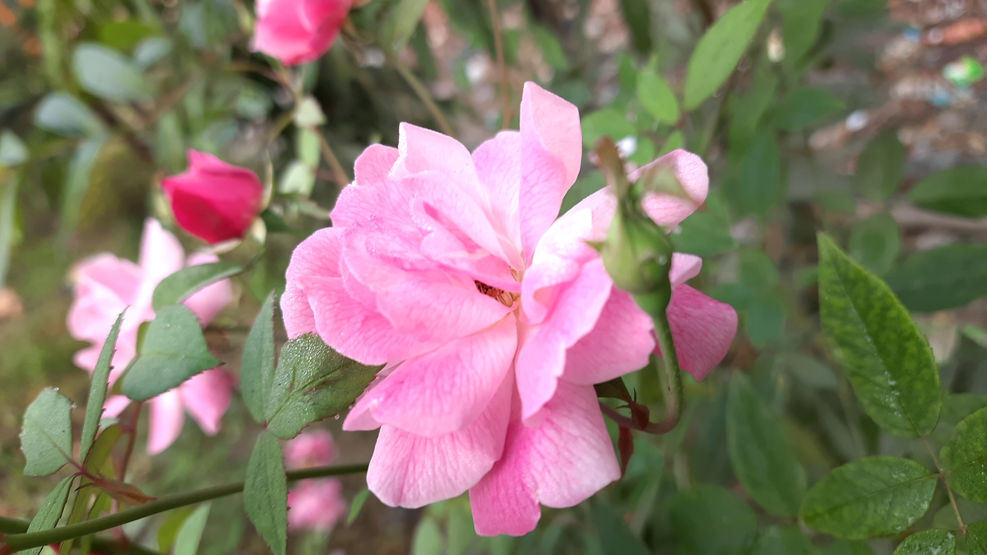 20201228_082024.jpg