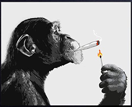 monkey spliff.jpg