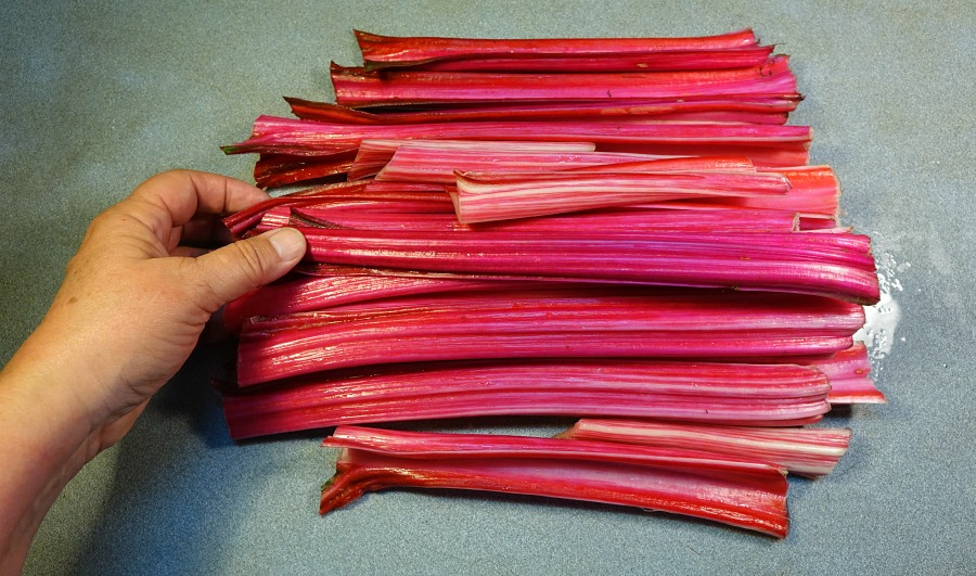 x chard 5.jpg