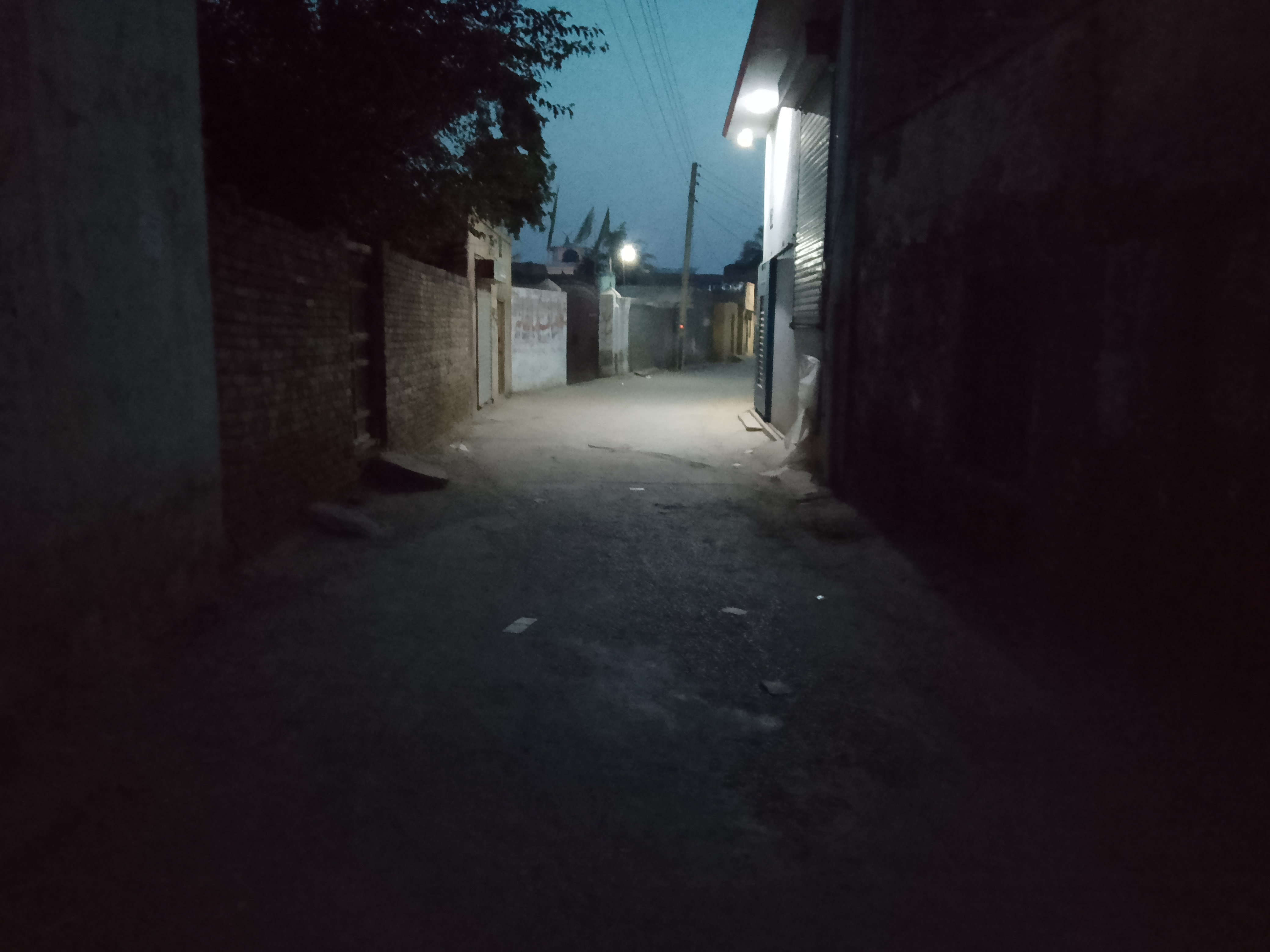 1000305238.jpg