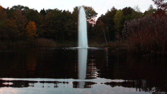 giphy-34.gif