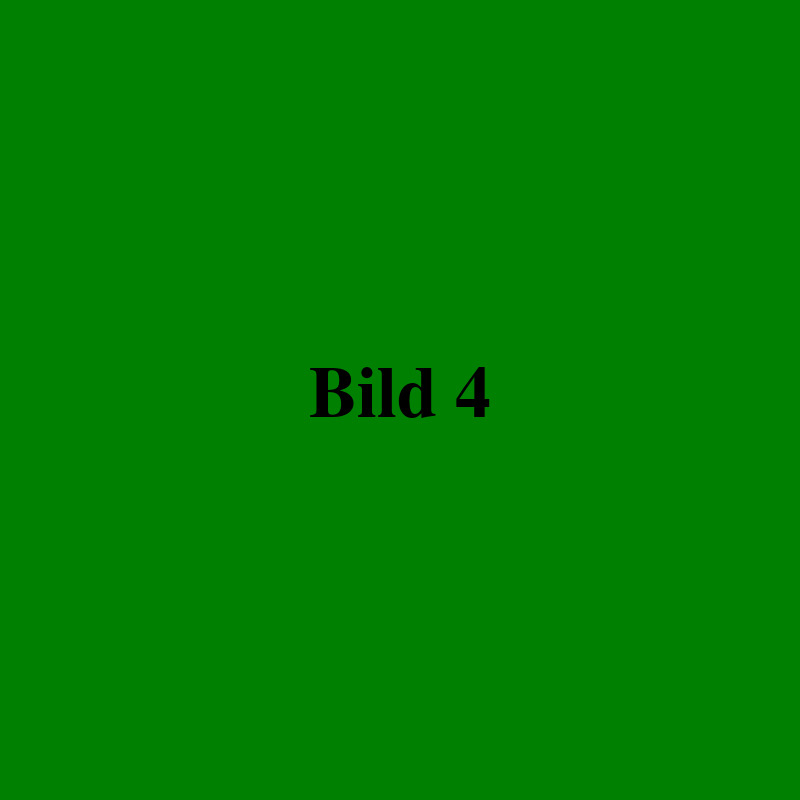 043.08.bild4.jpg