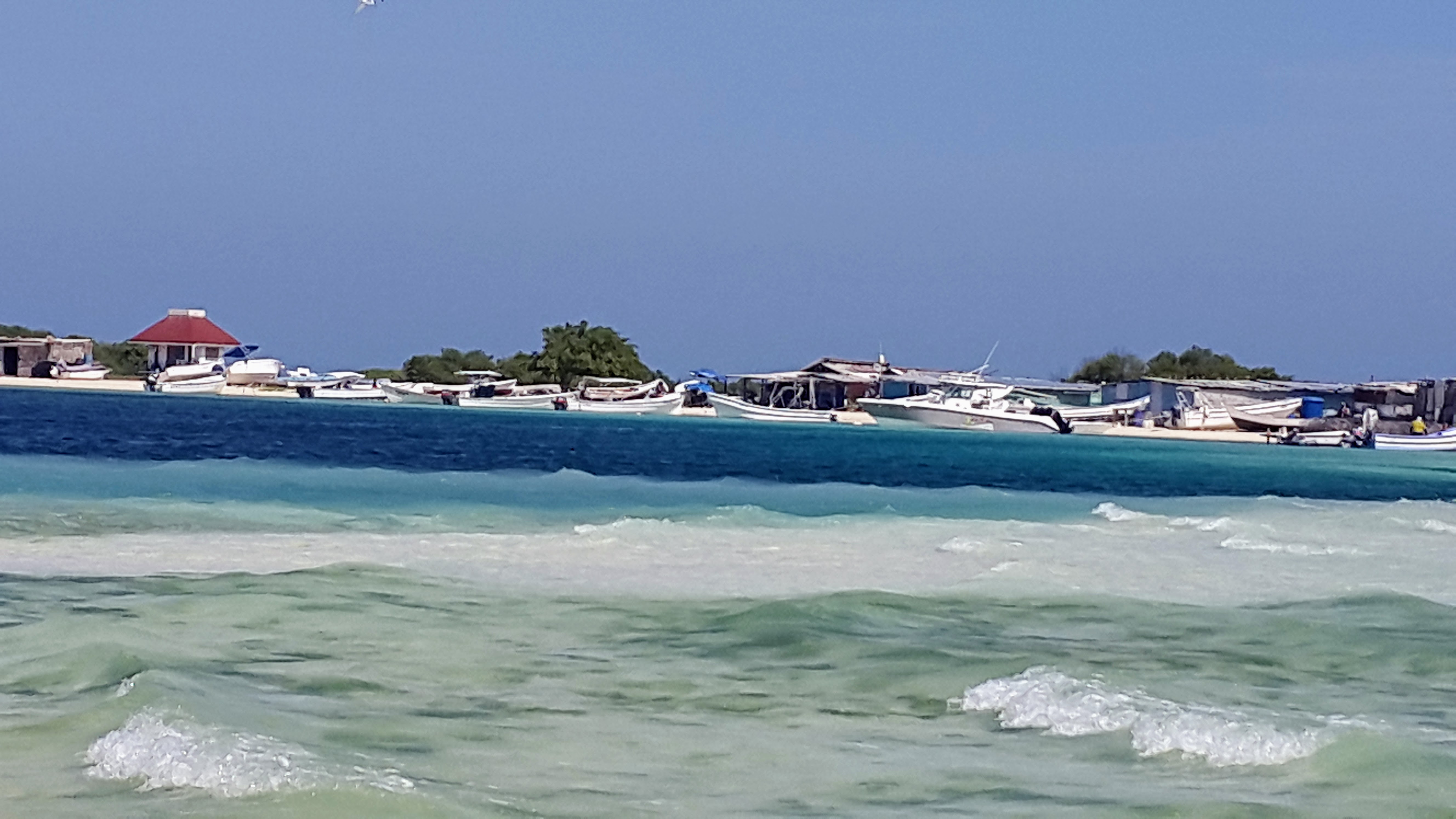 20151003_135412.jpg