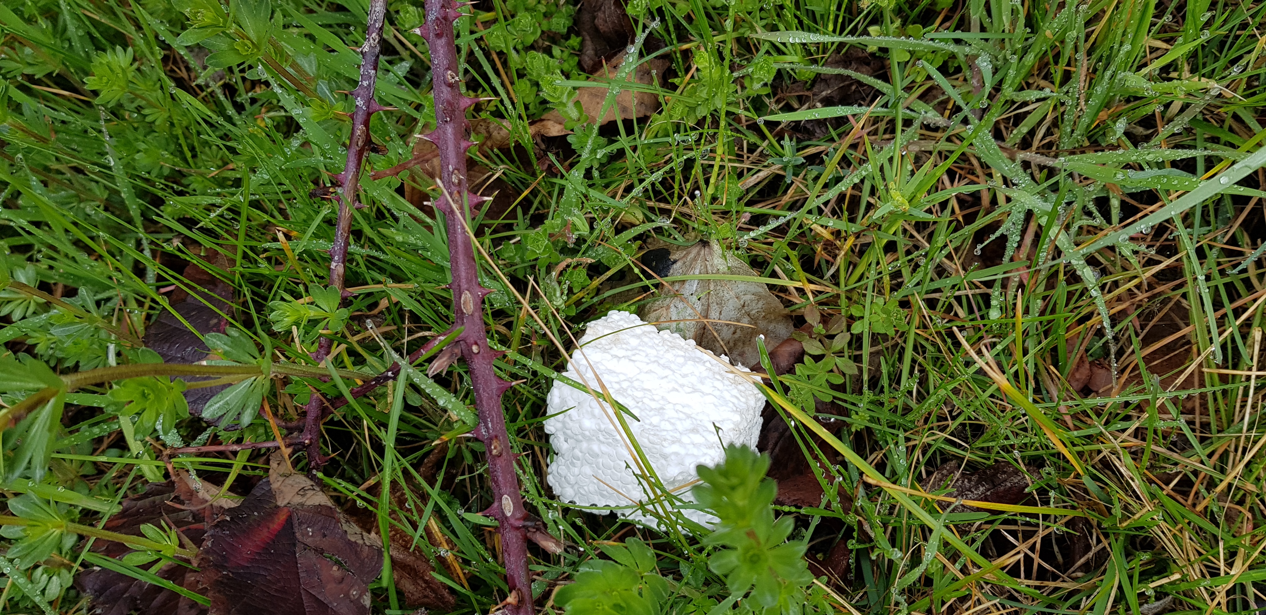 20190319_103132.jpg