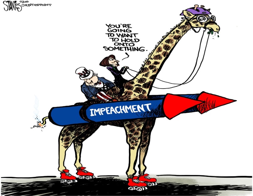 pelosi_wild_ride_jpg (1).jpg