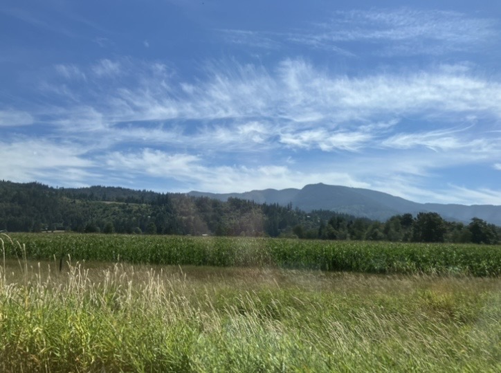IMG_8516.jpg