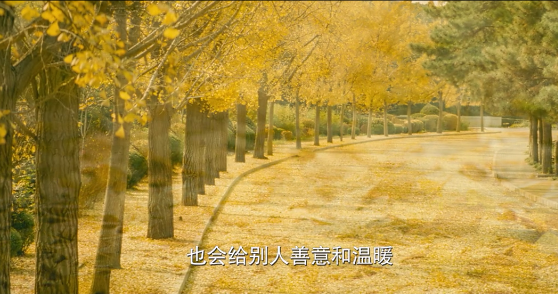微信图片_20180604204323.png