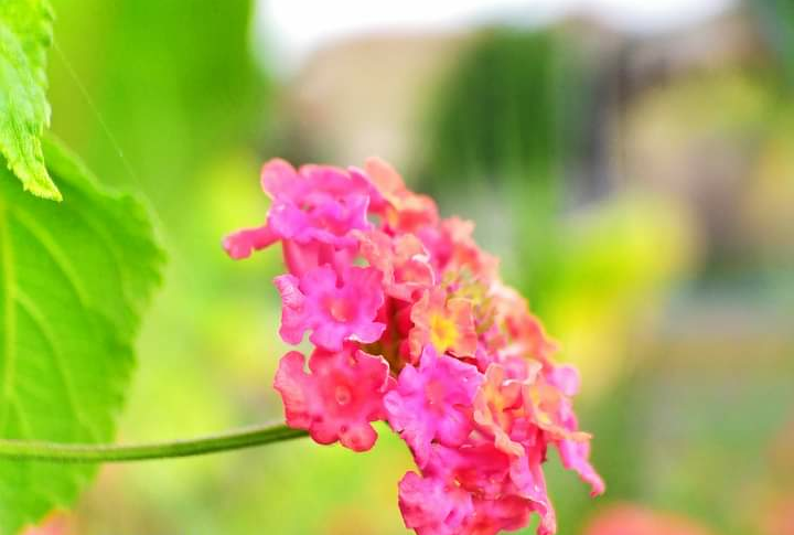 IMG_20211130_205404.png