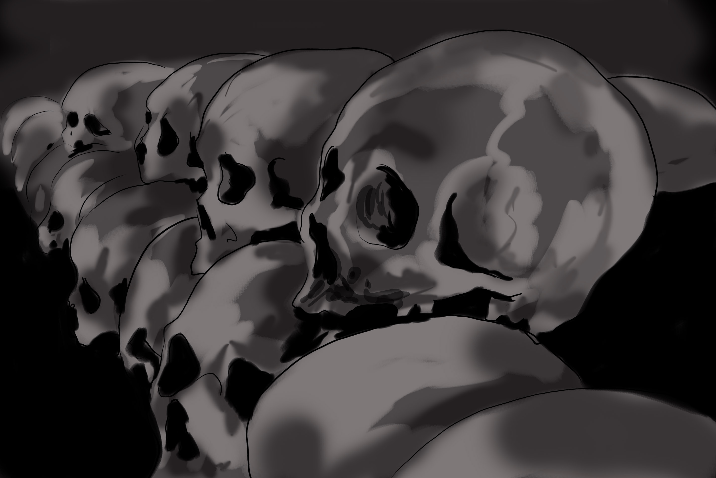 skulls 1dfed.jpg