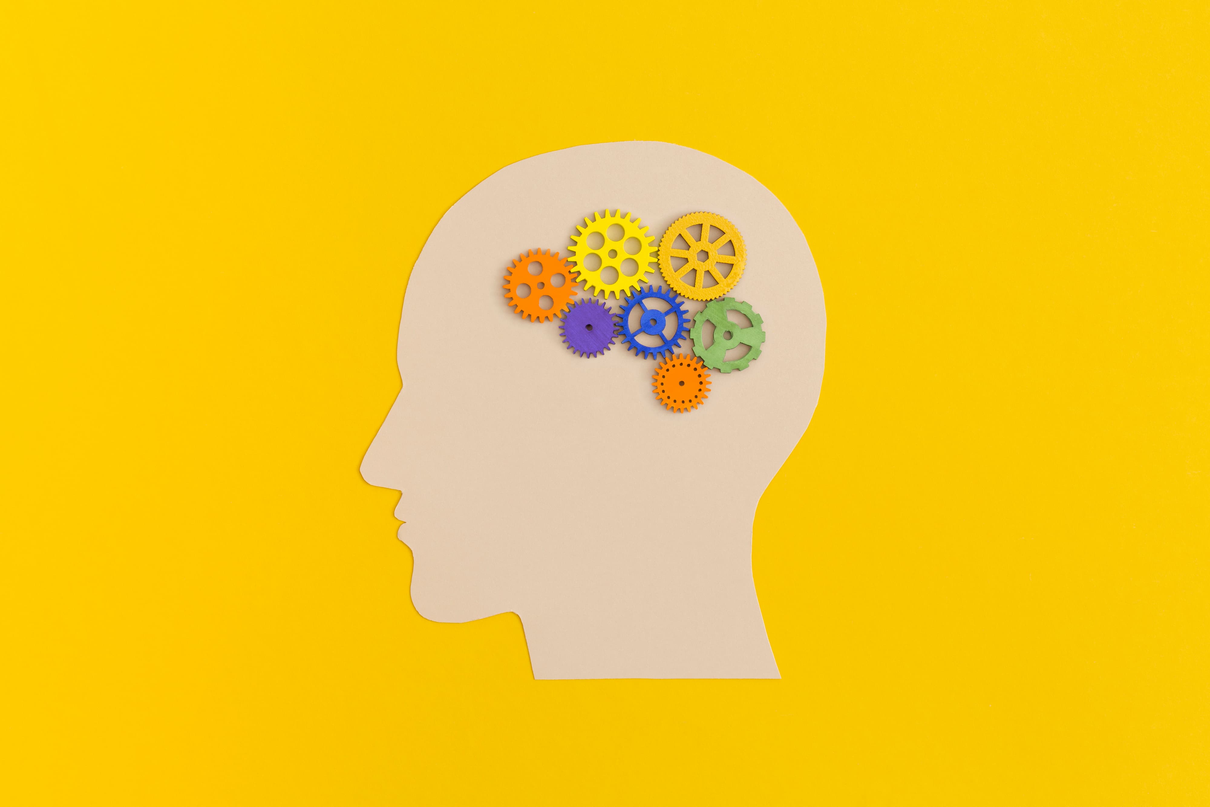 human-head-with-gears-on-yellow-background.jpg
