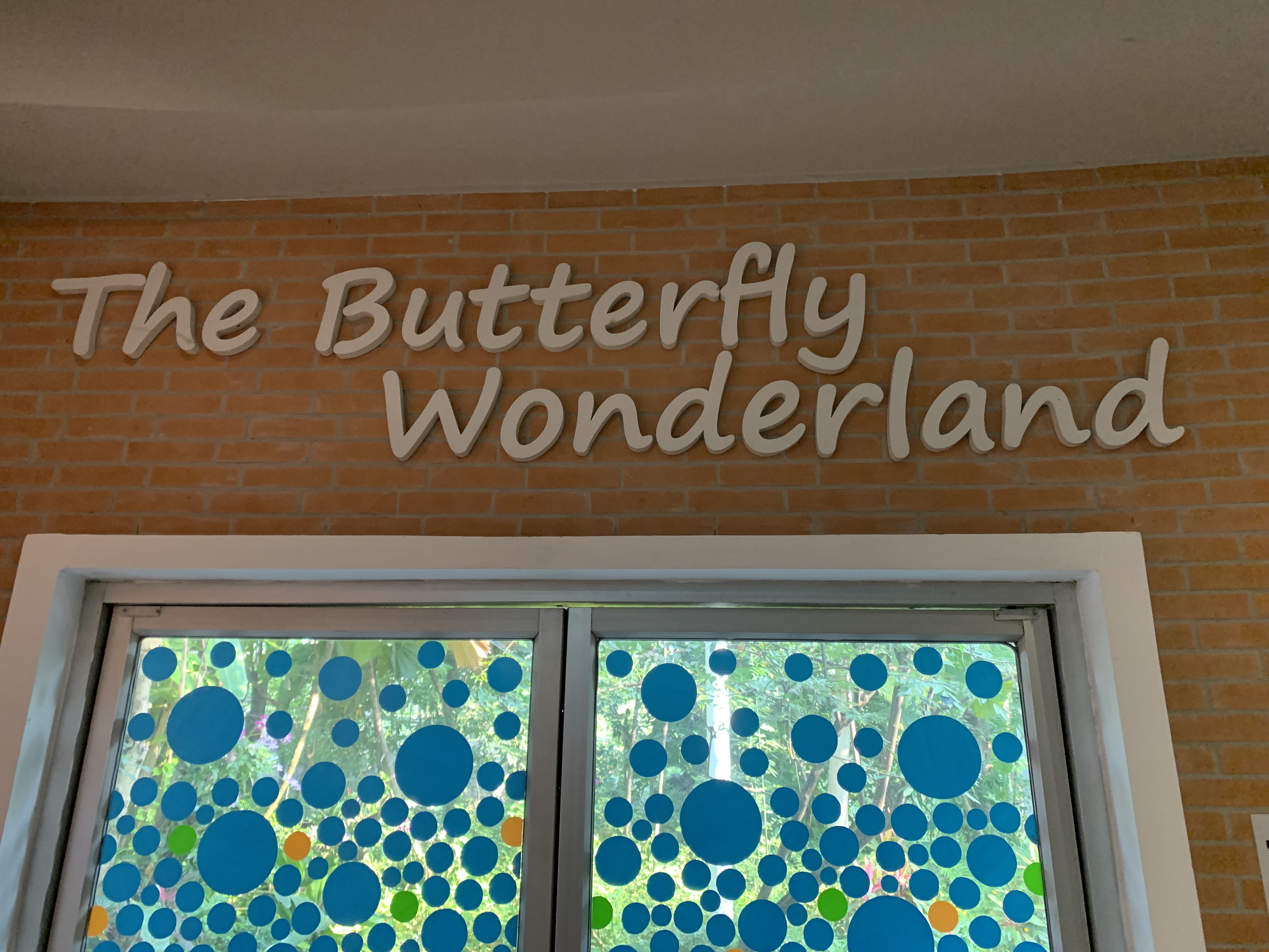 Bangkok Butterfly Garden & Insectarium106.jpg