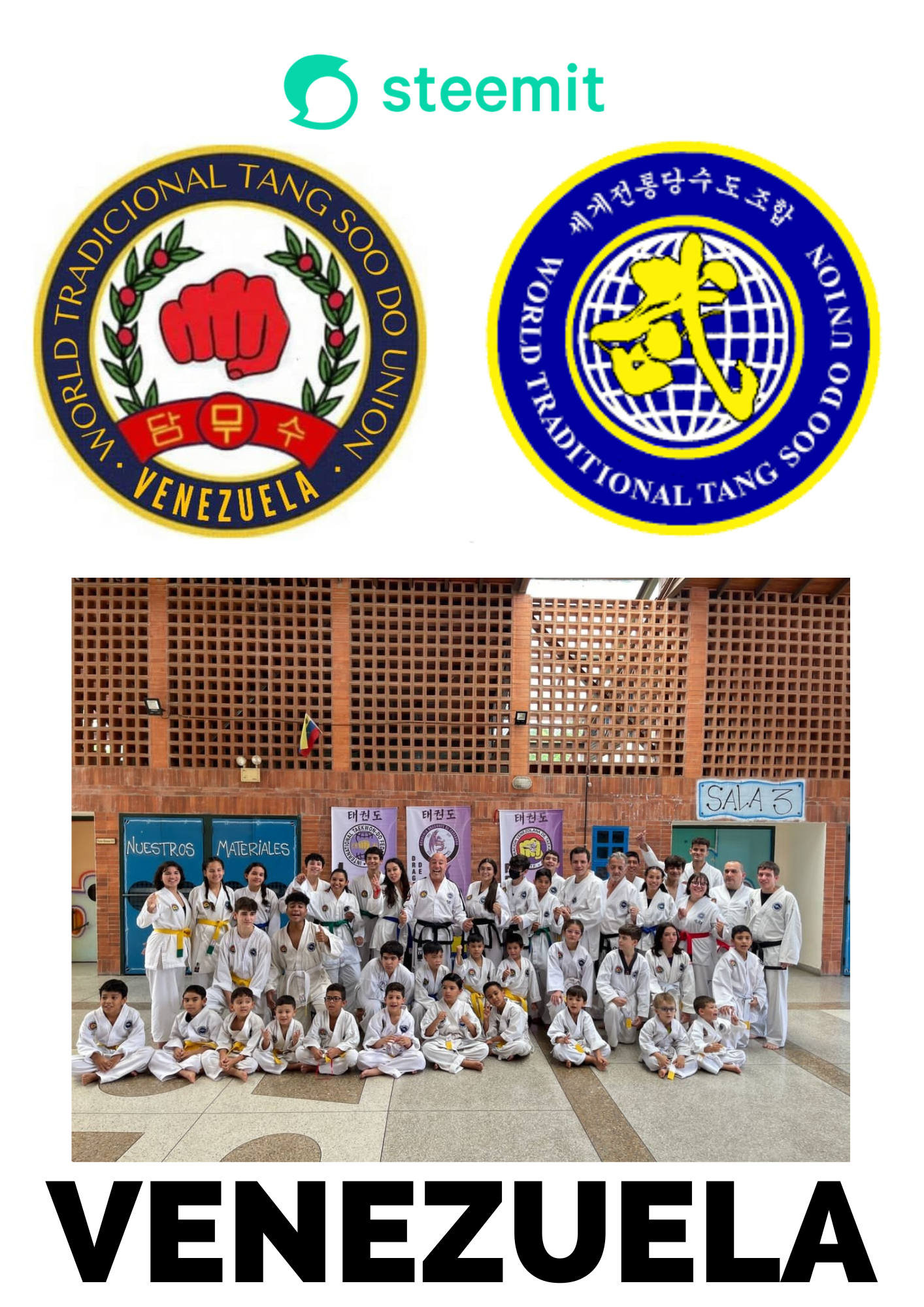 VENEZUELA tang soo do federacion mundial.png