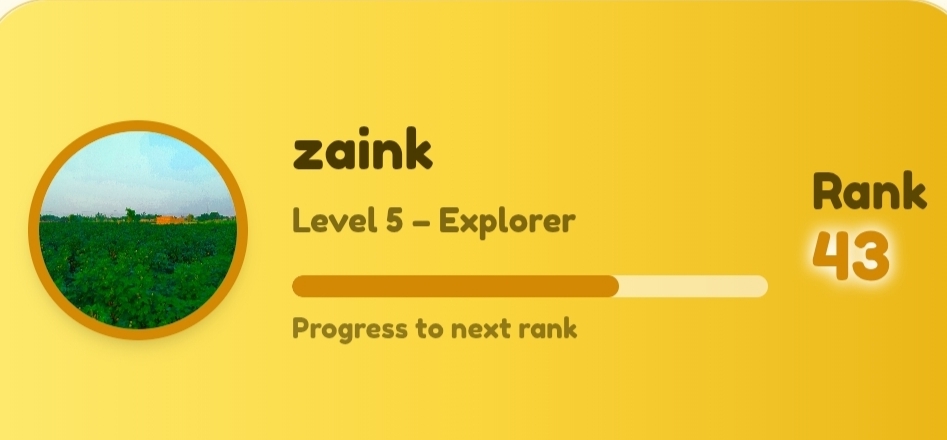 1000455401.jpg