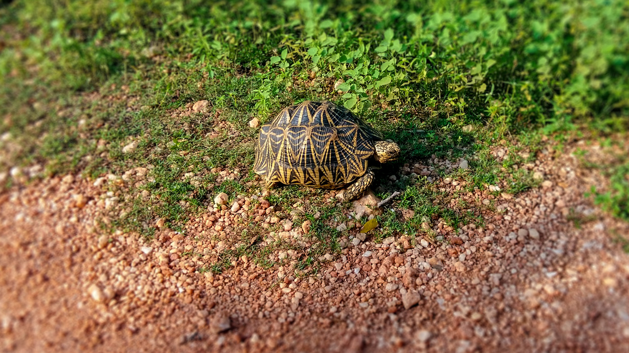 20171208_153735.jpg