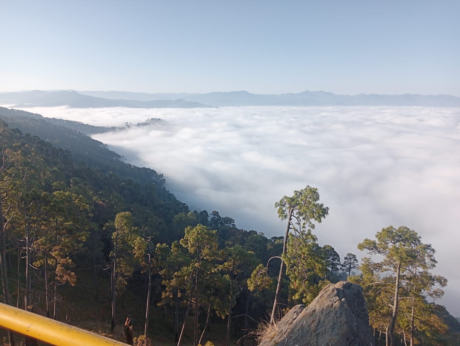 1000087548.jpg