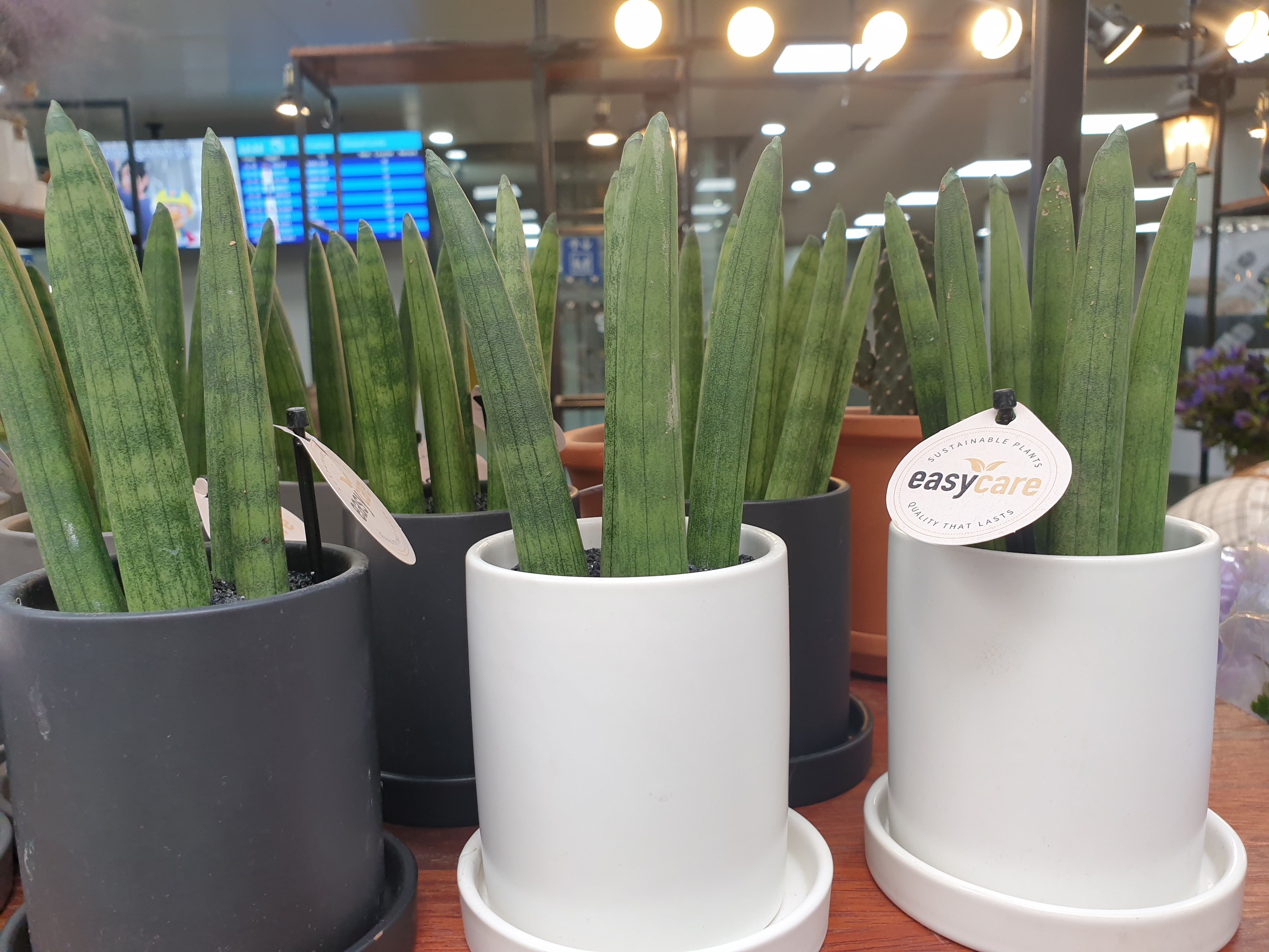 20201009_122202.jpg