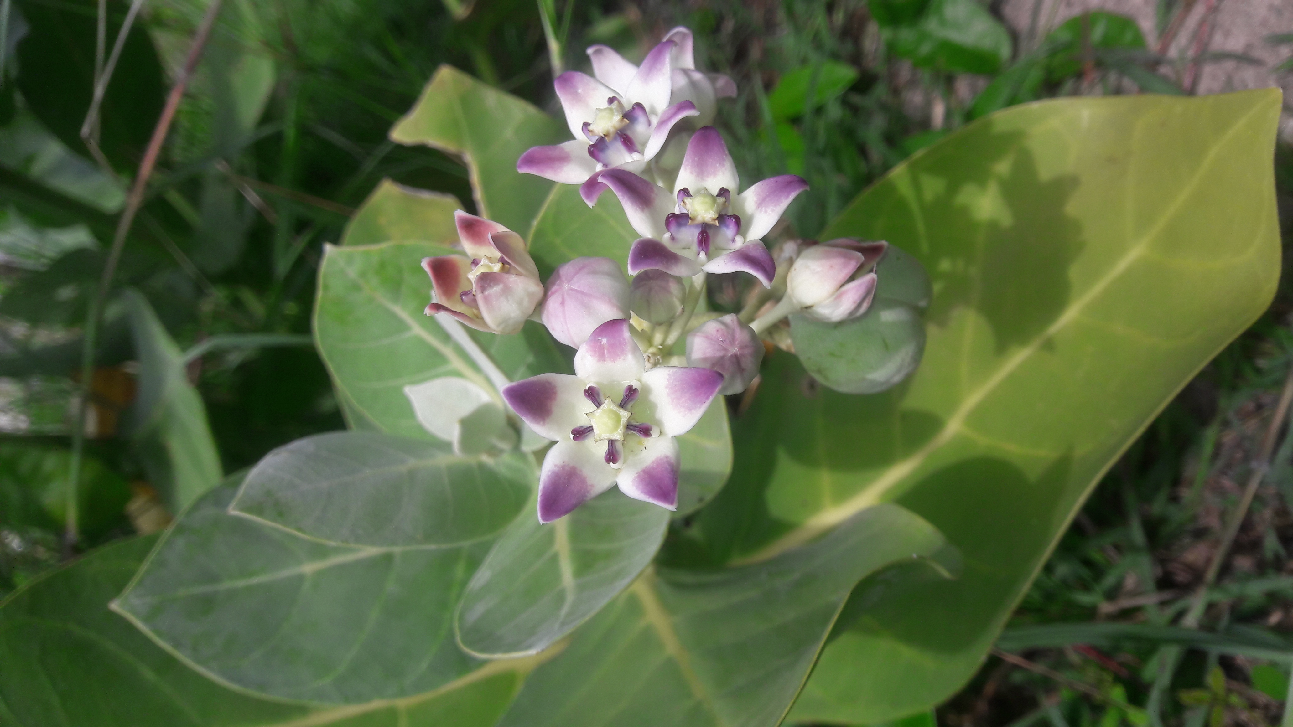 20180629_103554.jpg