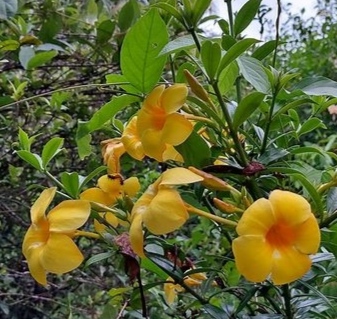 IMG_20230529_100407.jpg