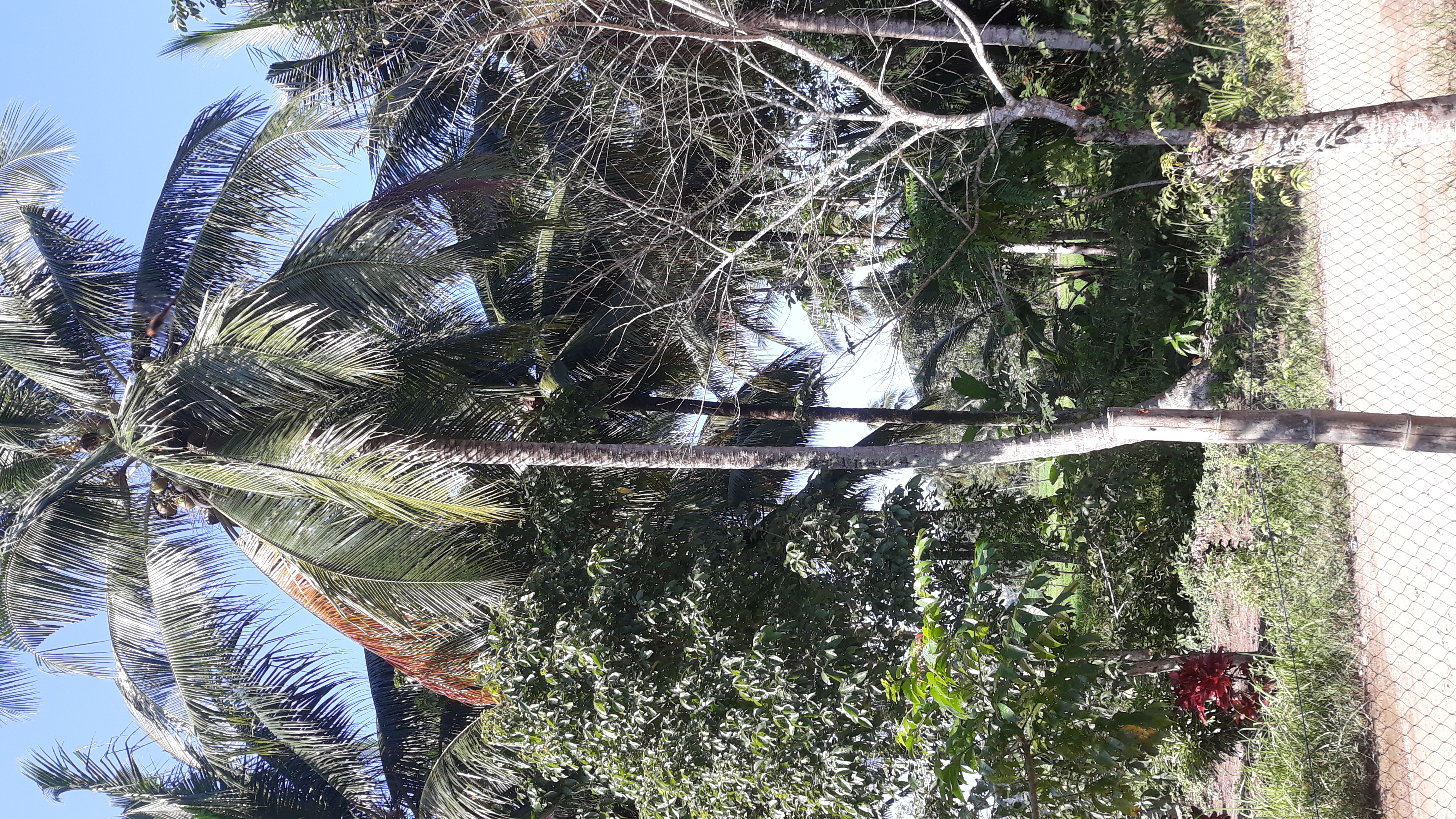 20220112_092620.jpg