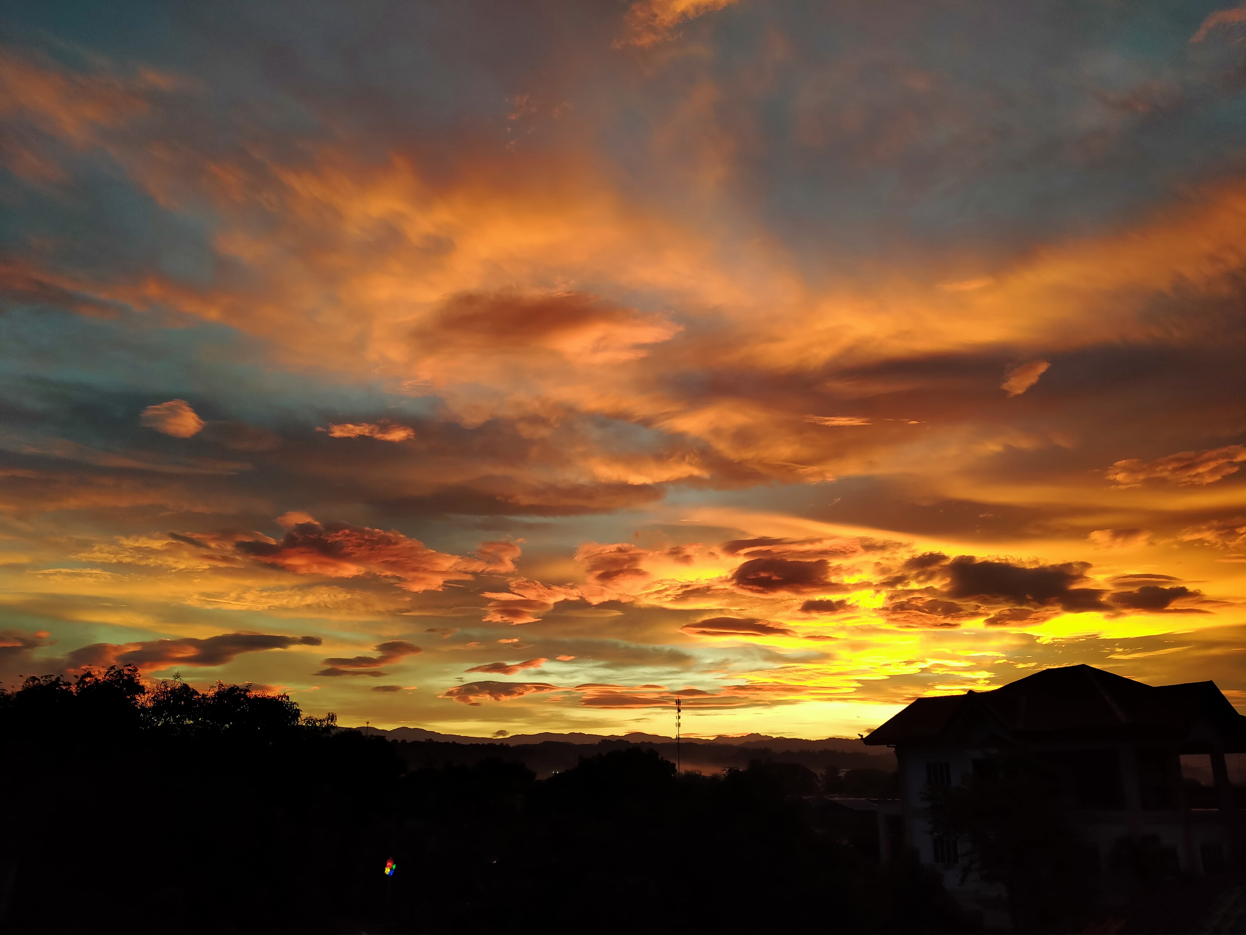 IMG20191226061804.jpg