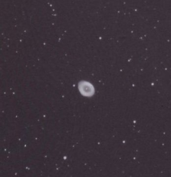 Ring%201.jpg