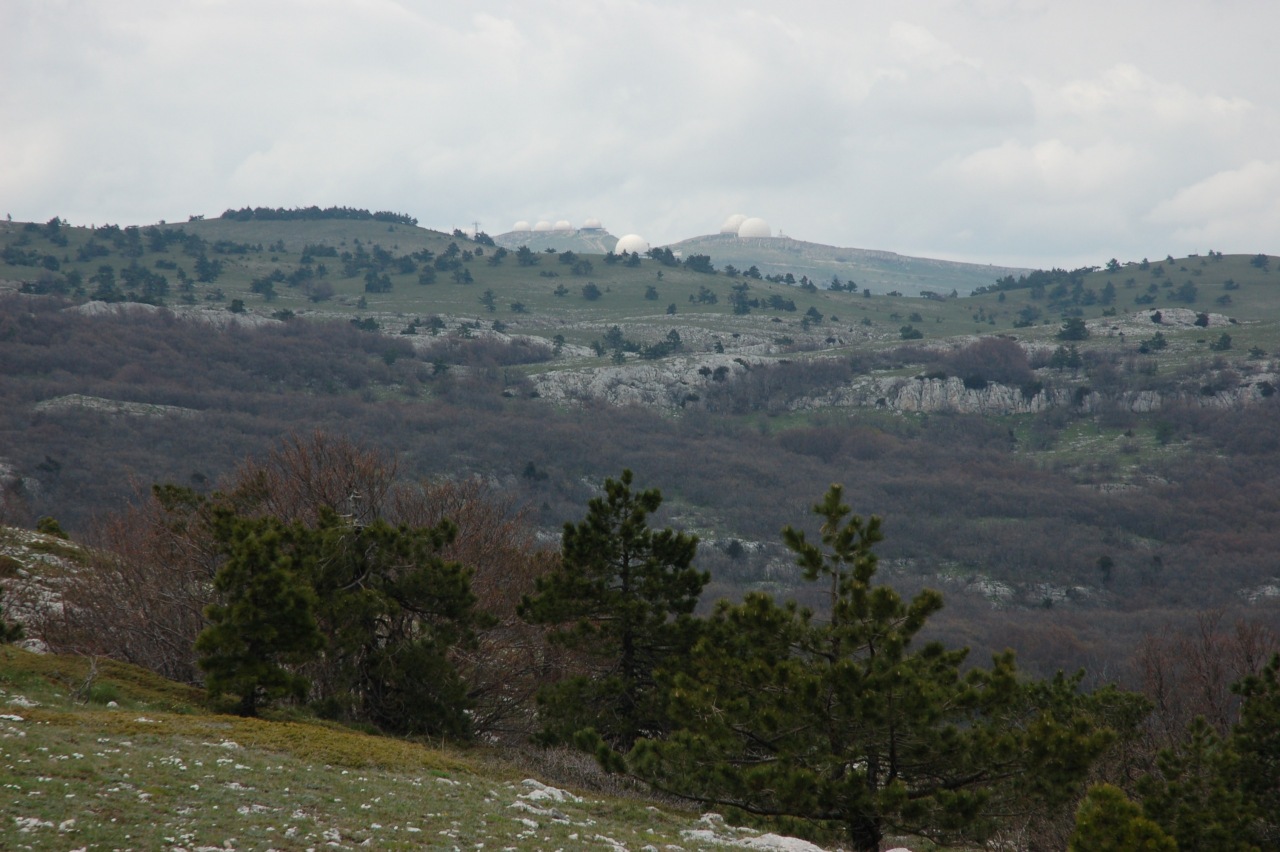 IMG_1400.jpg