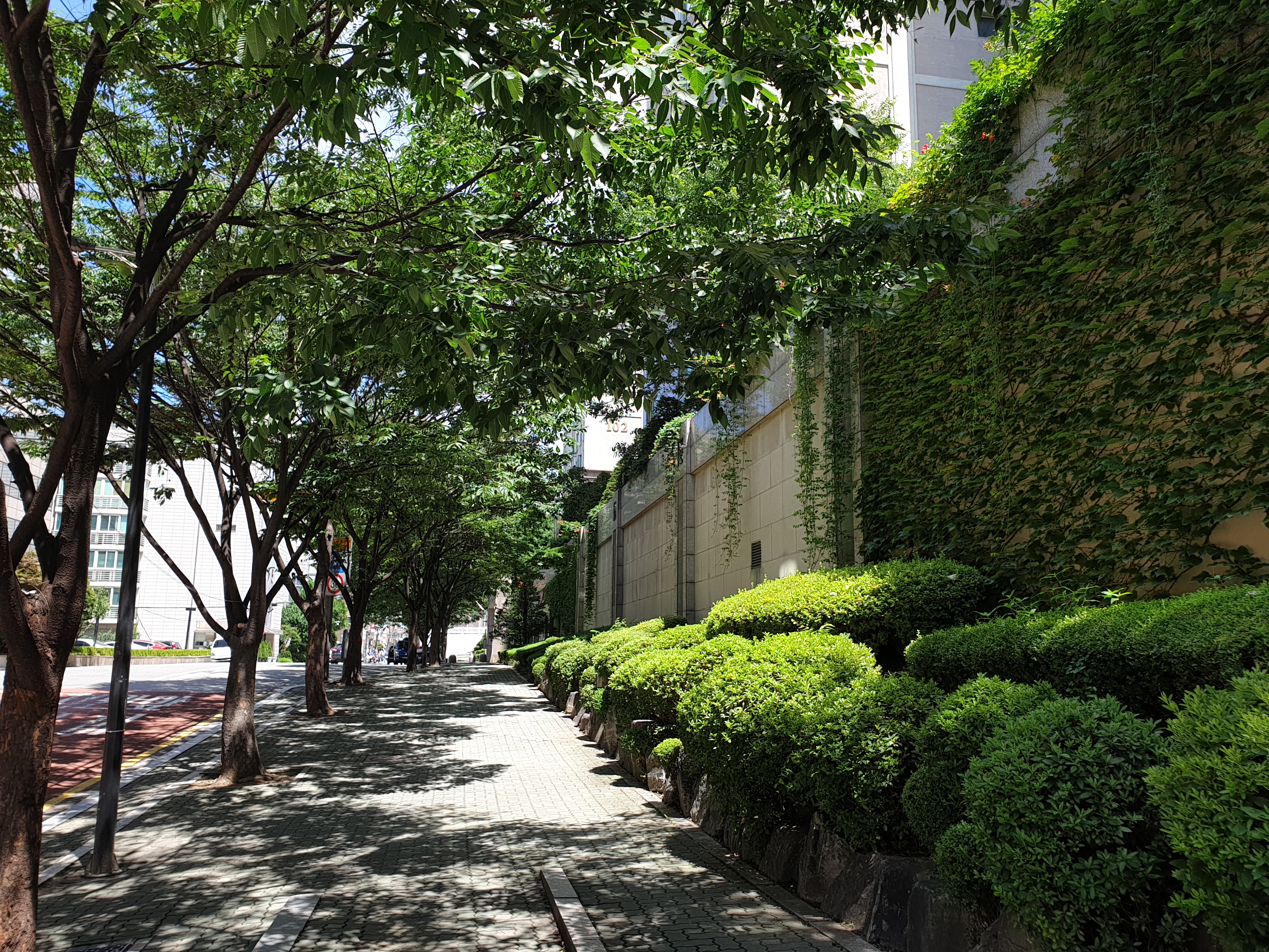 20200715_133832.jpg