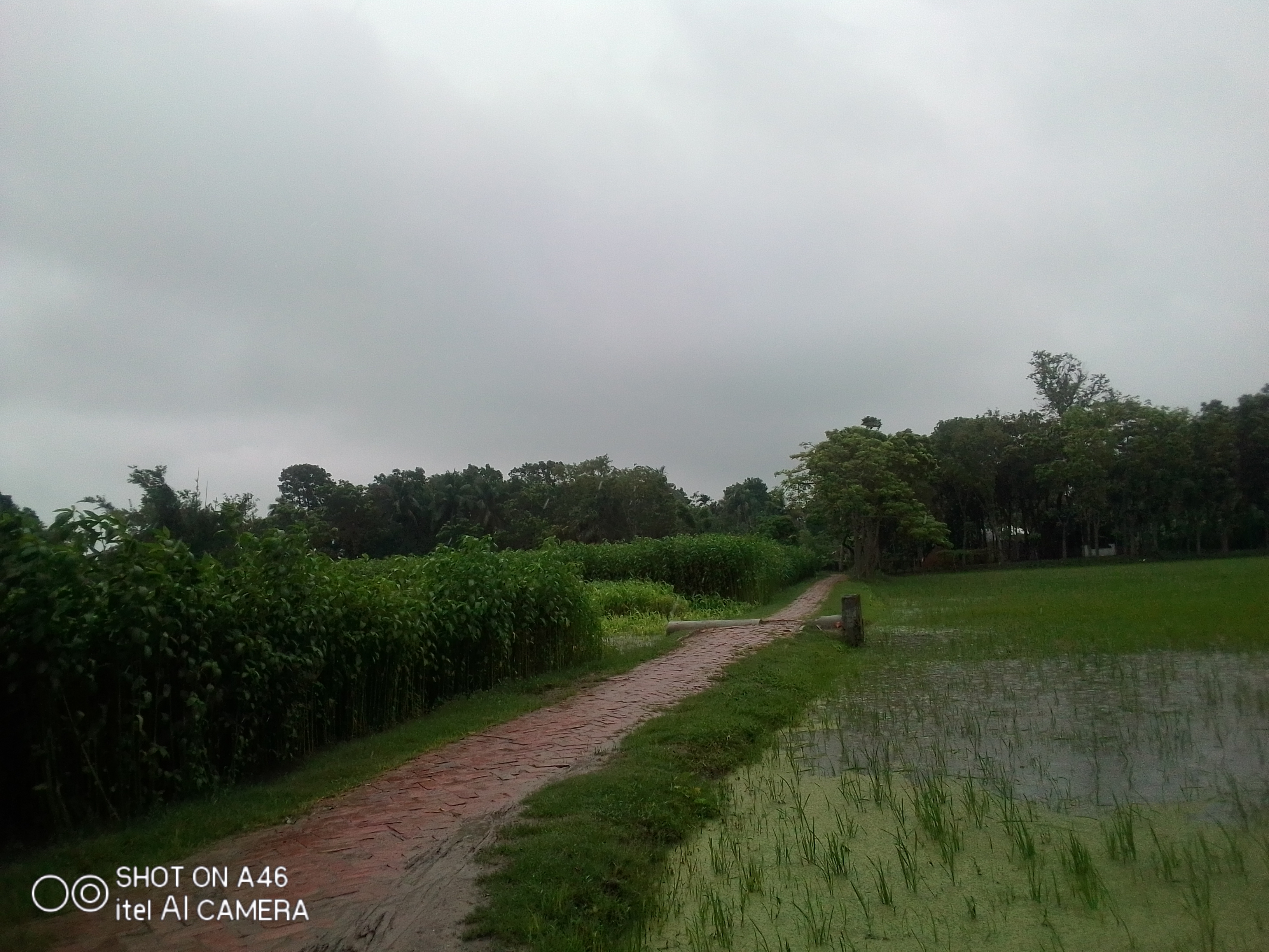 IMG_20210616_132058.jpg