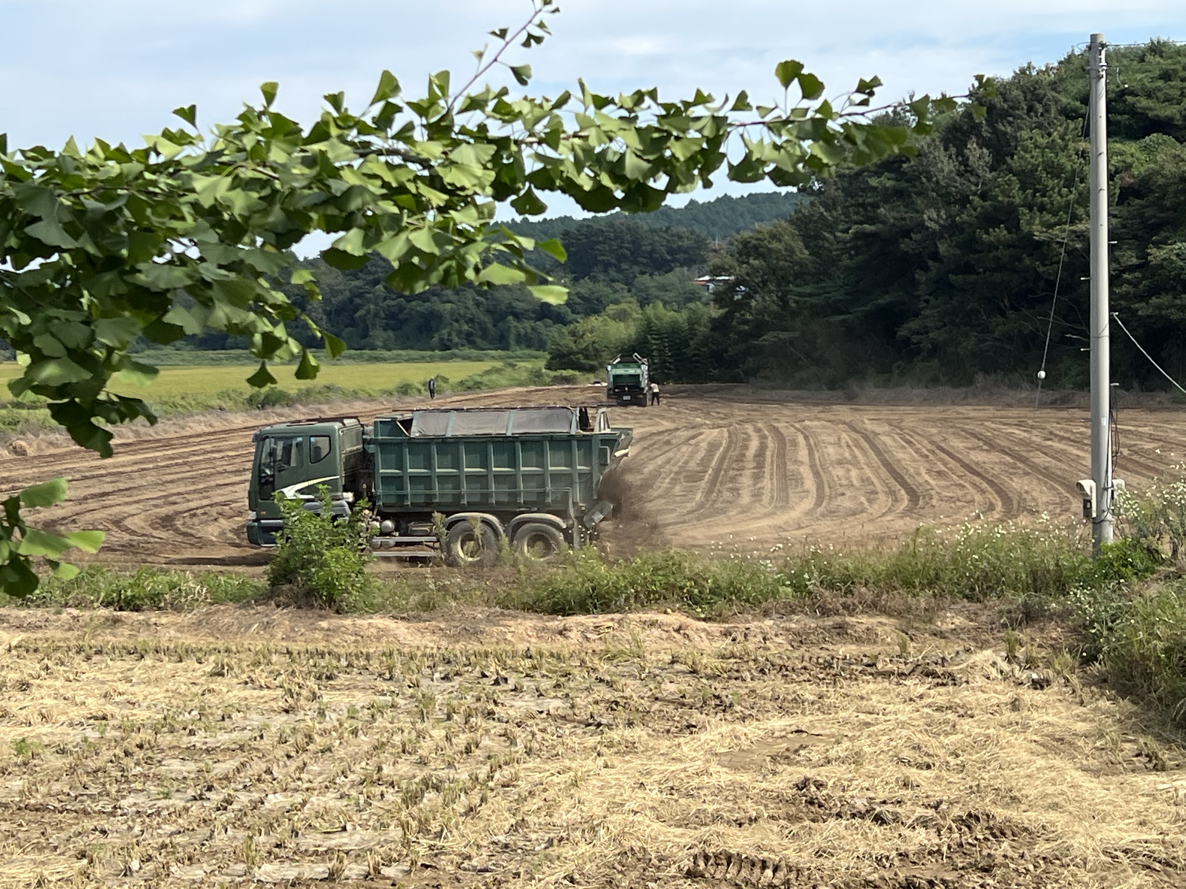 IMG_5359.jpeg