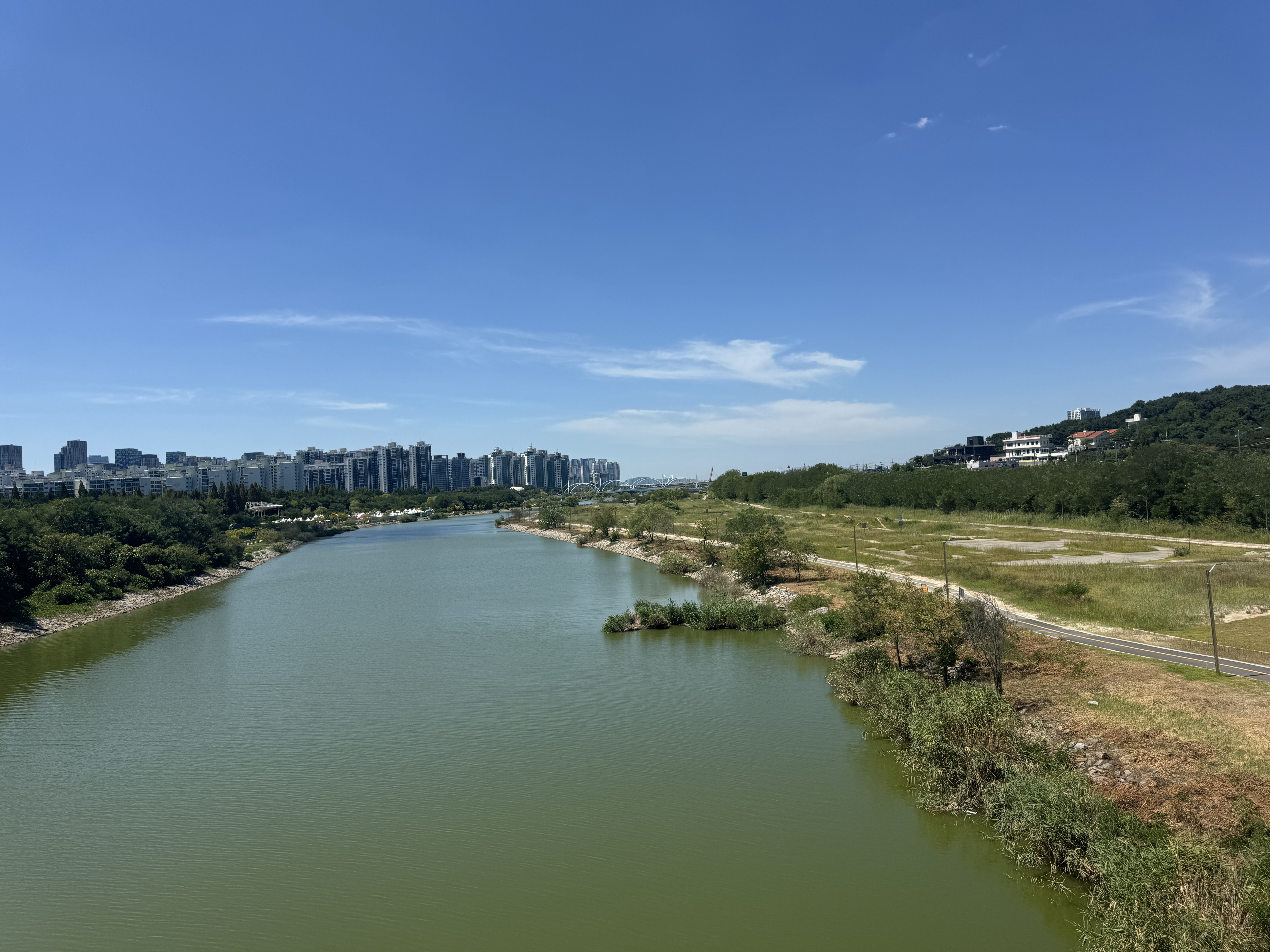 IMG_2020.jpeg