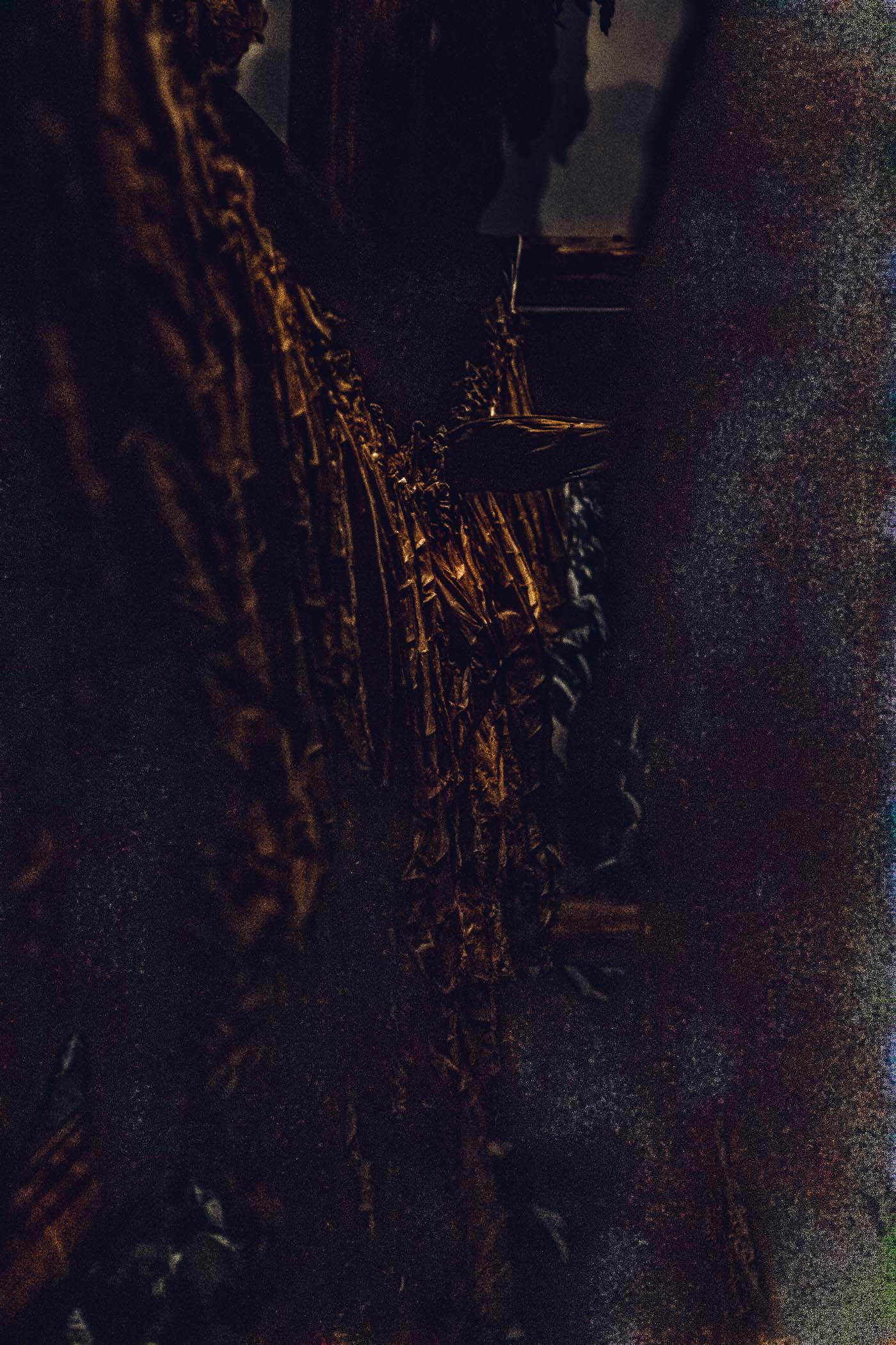 2021_11_23__033633.jpg