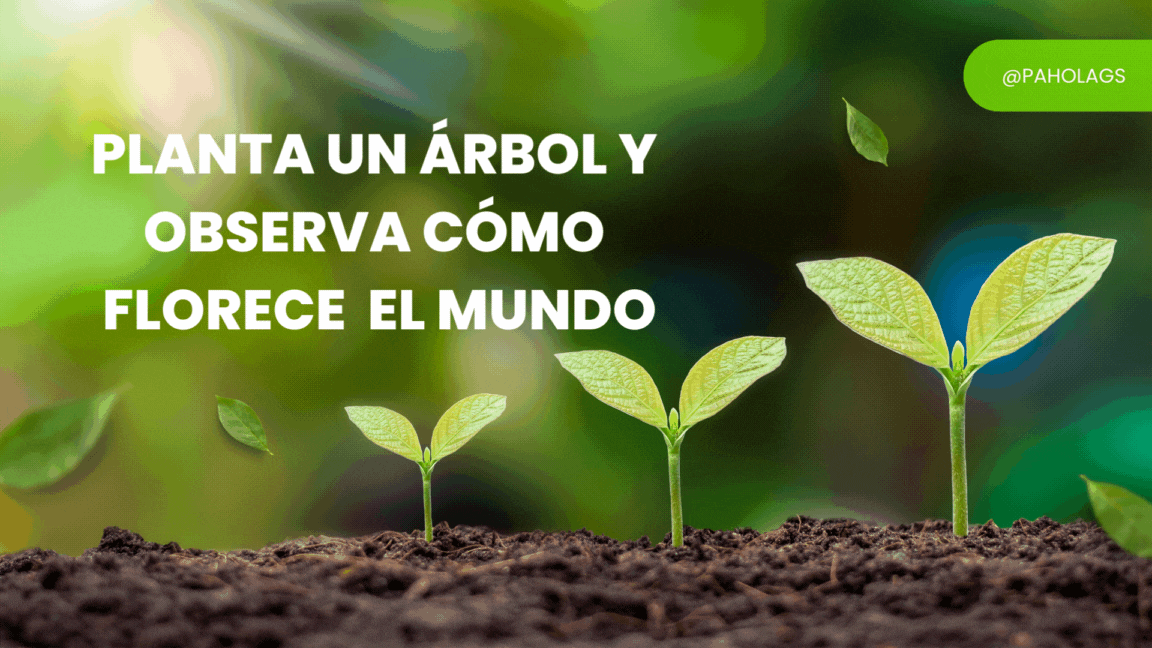 Concursos .gif