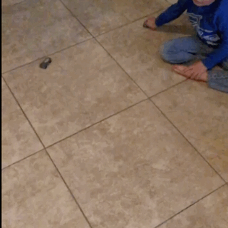 595CEDB0-EC48-4105-9E92-6B5EFAA95235.gif