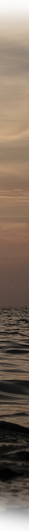 Boat right .png