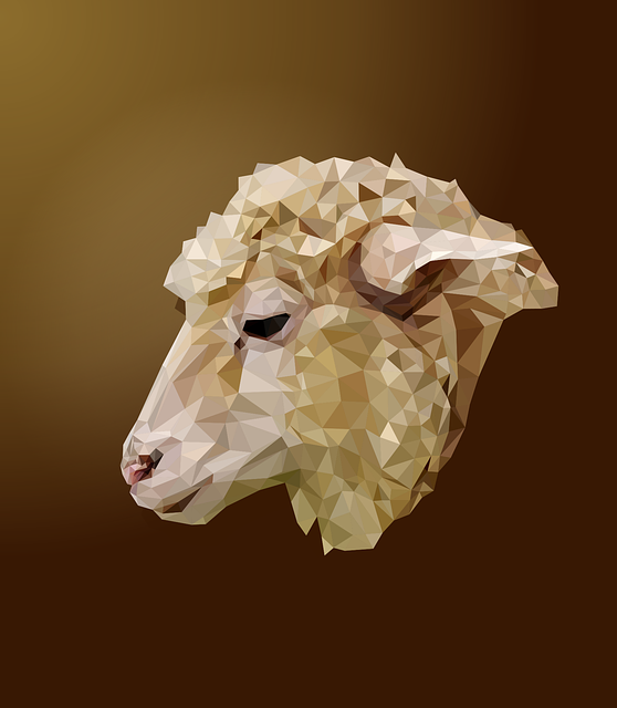 fellowsheep