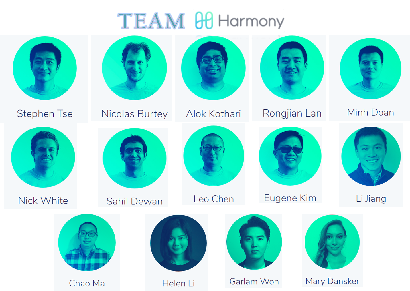 TEAM.png