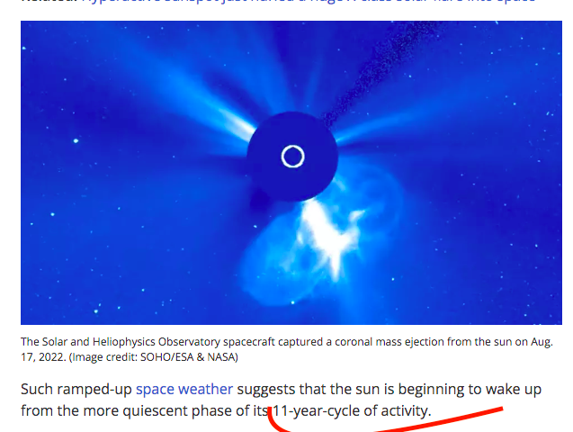 Screen Shot 2022-08-19 at 12.34.49 PM.png
