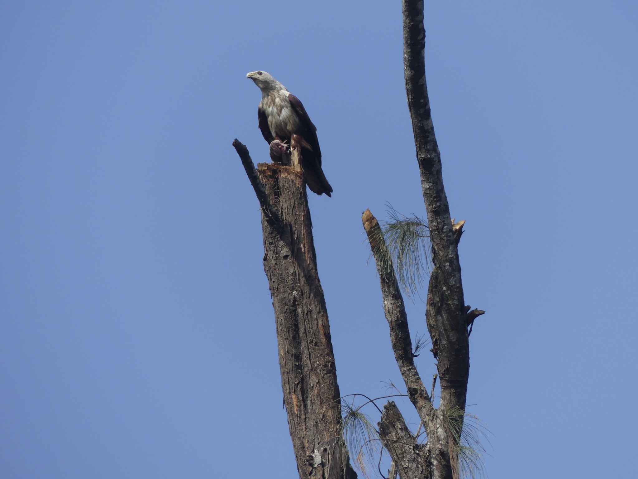 17814340556025757333447663962334.jpg