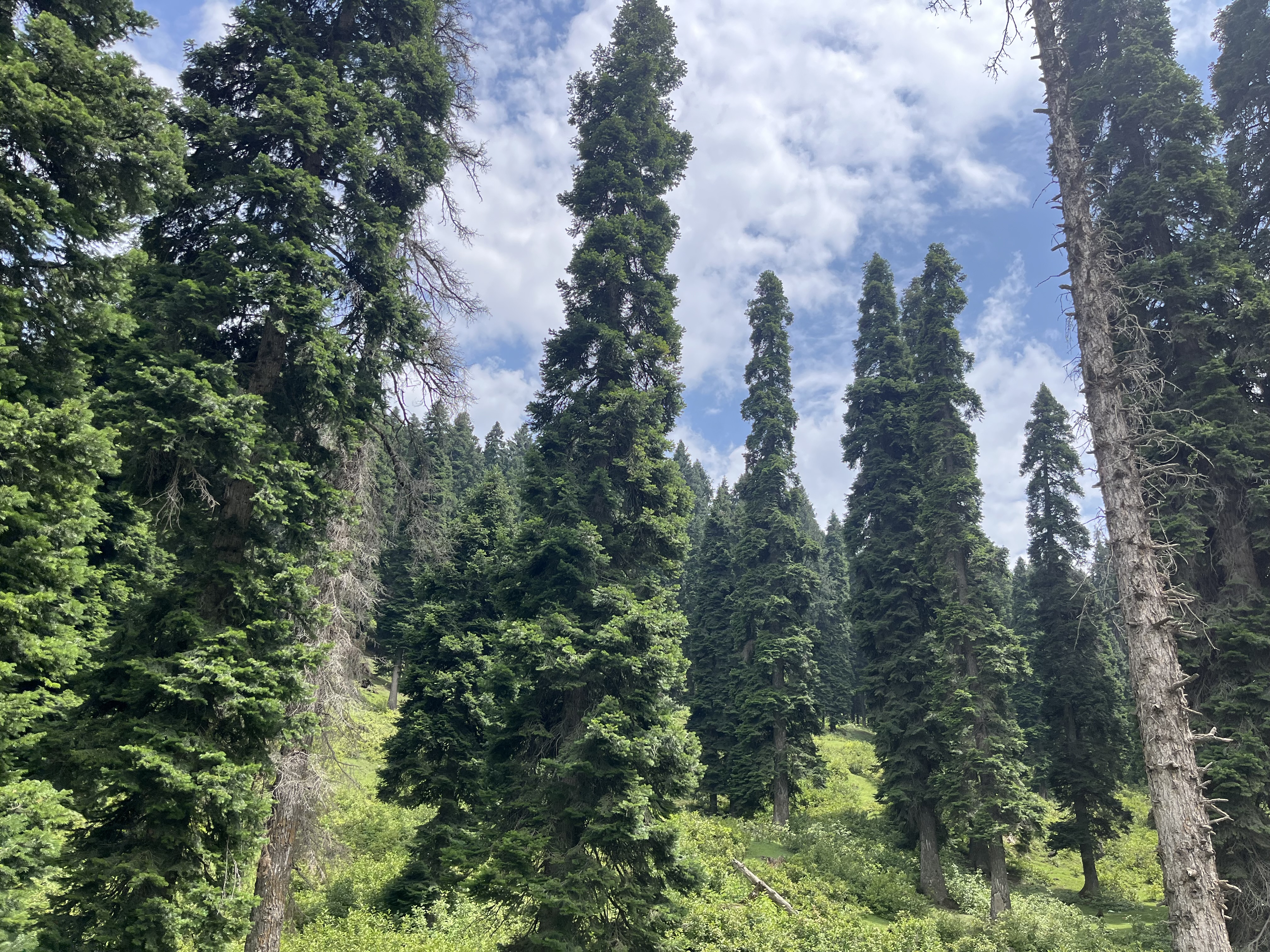 IMG_0916.jpeg
