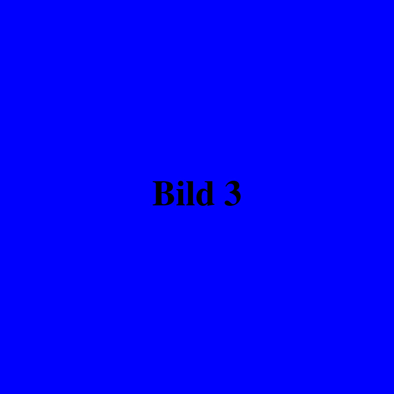 043.07.bild3.jpg
