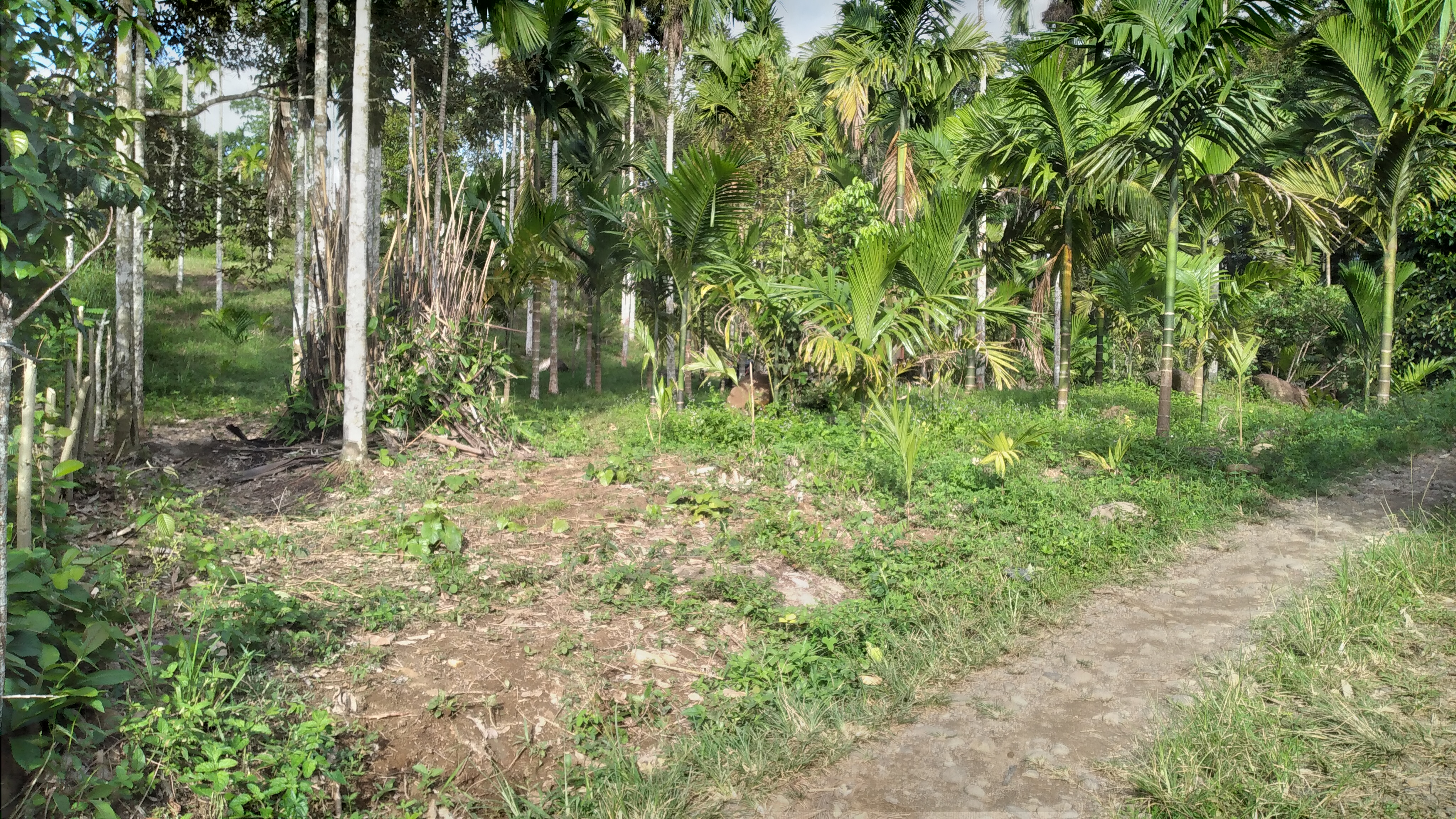 20220828_164658.jpg