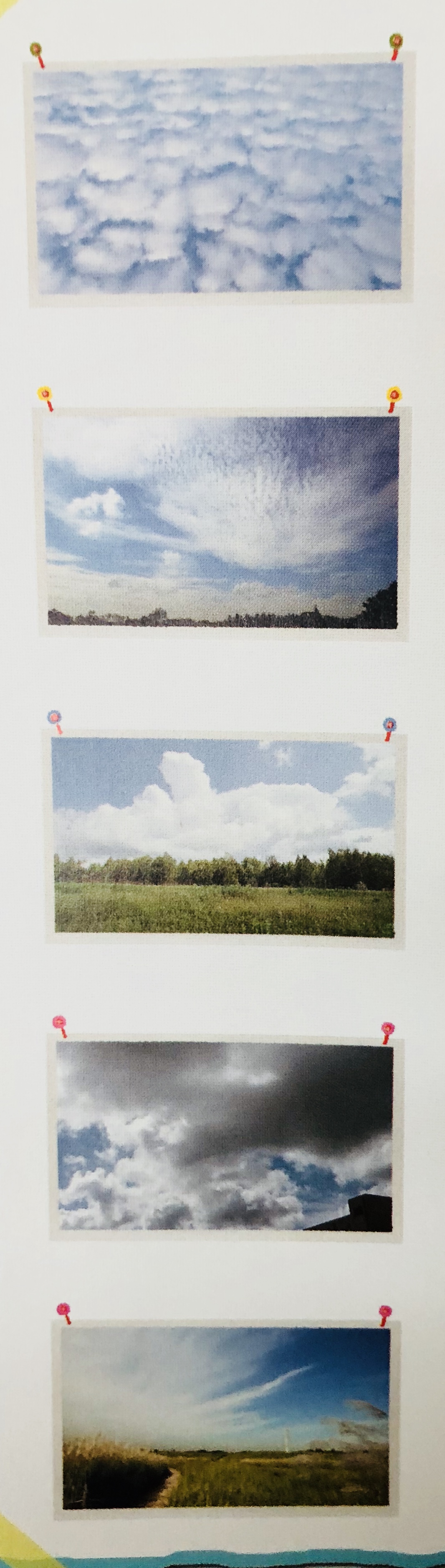 DE4D1ECB-D944-4E02-94B6-D74B774C0AB1.jpeg