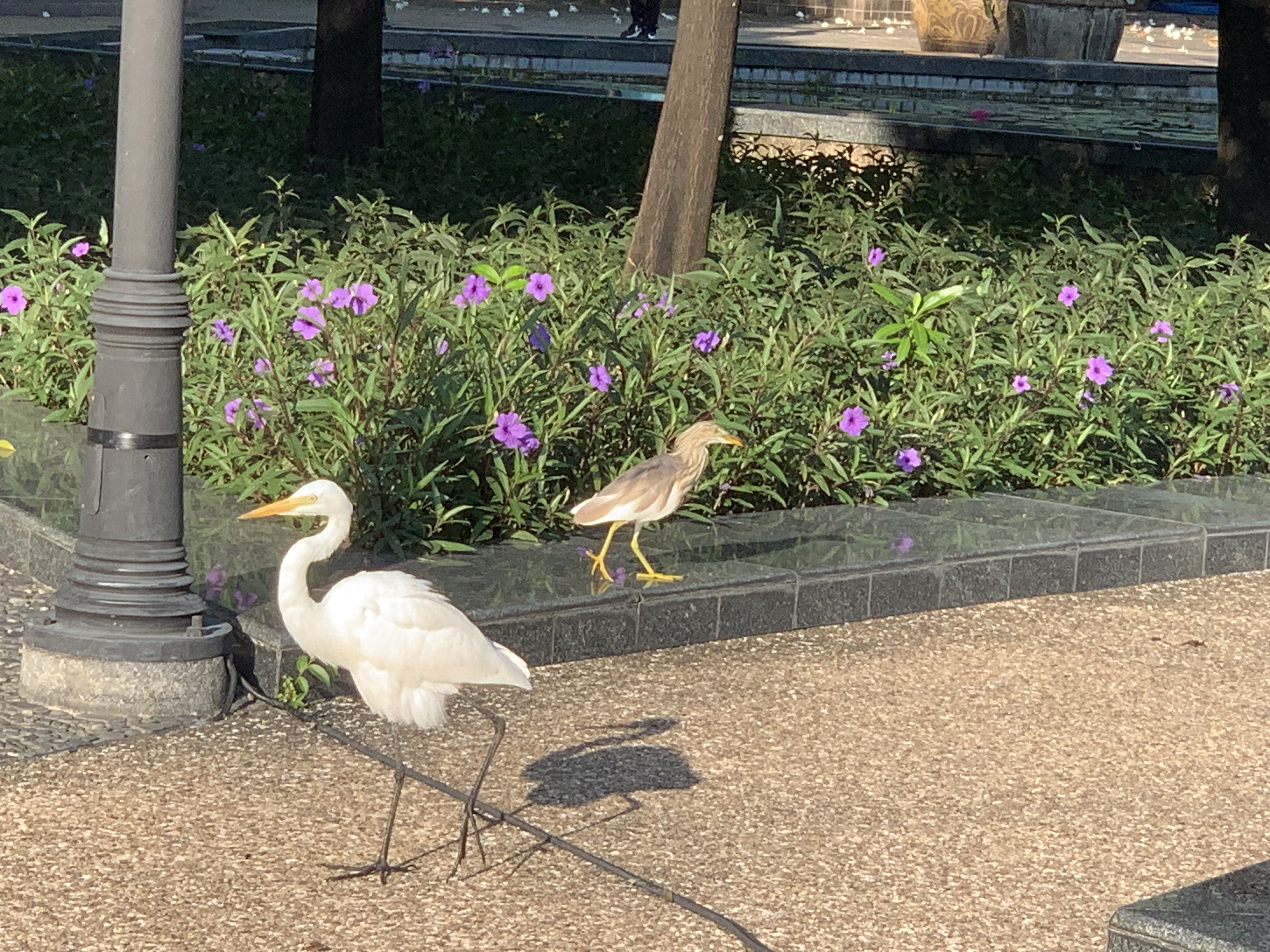 birdwatching spots8.jpg