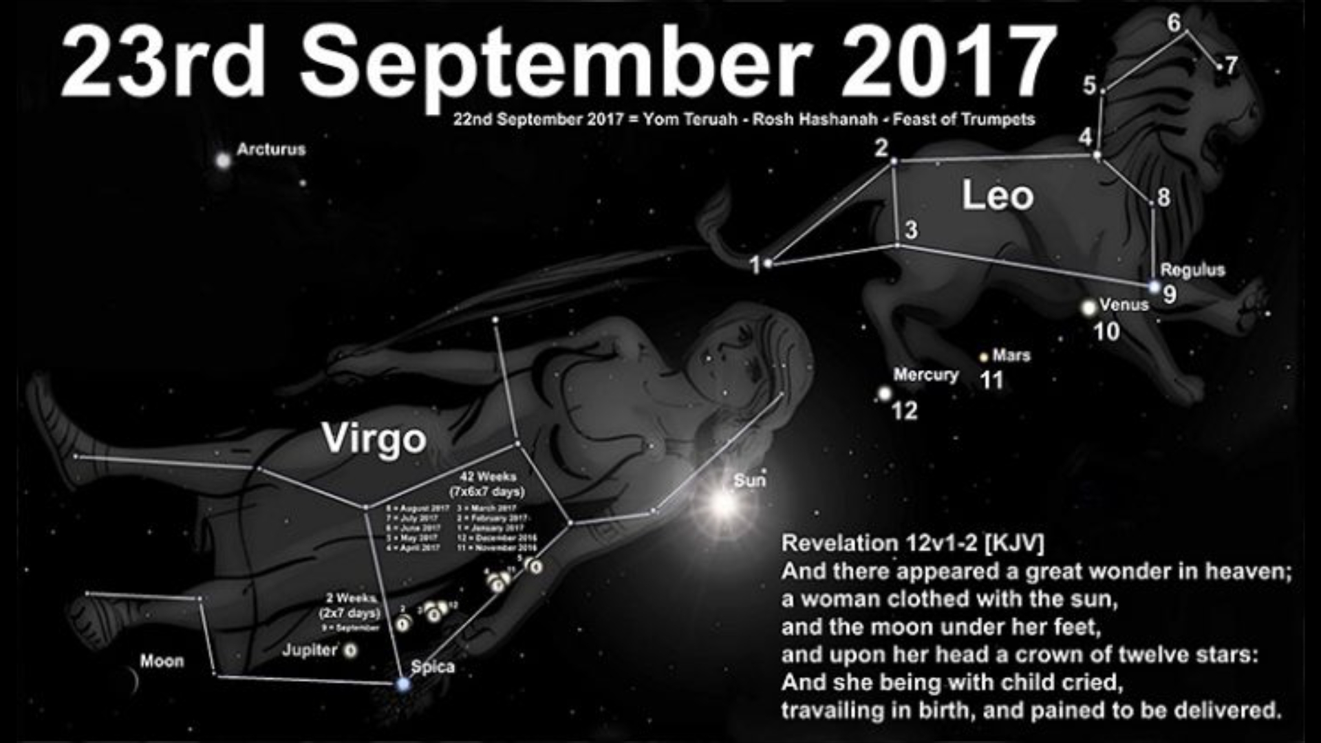 net.jpeg