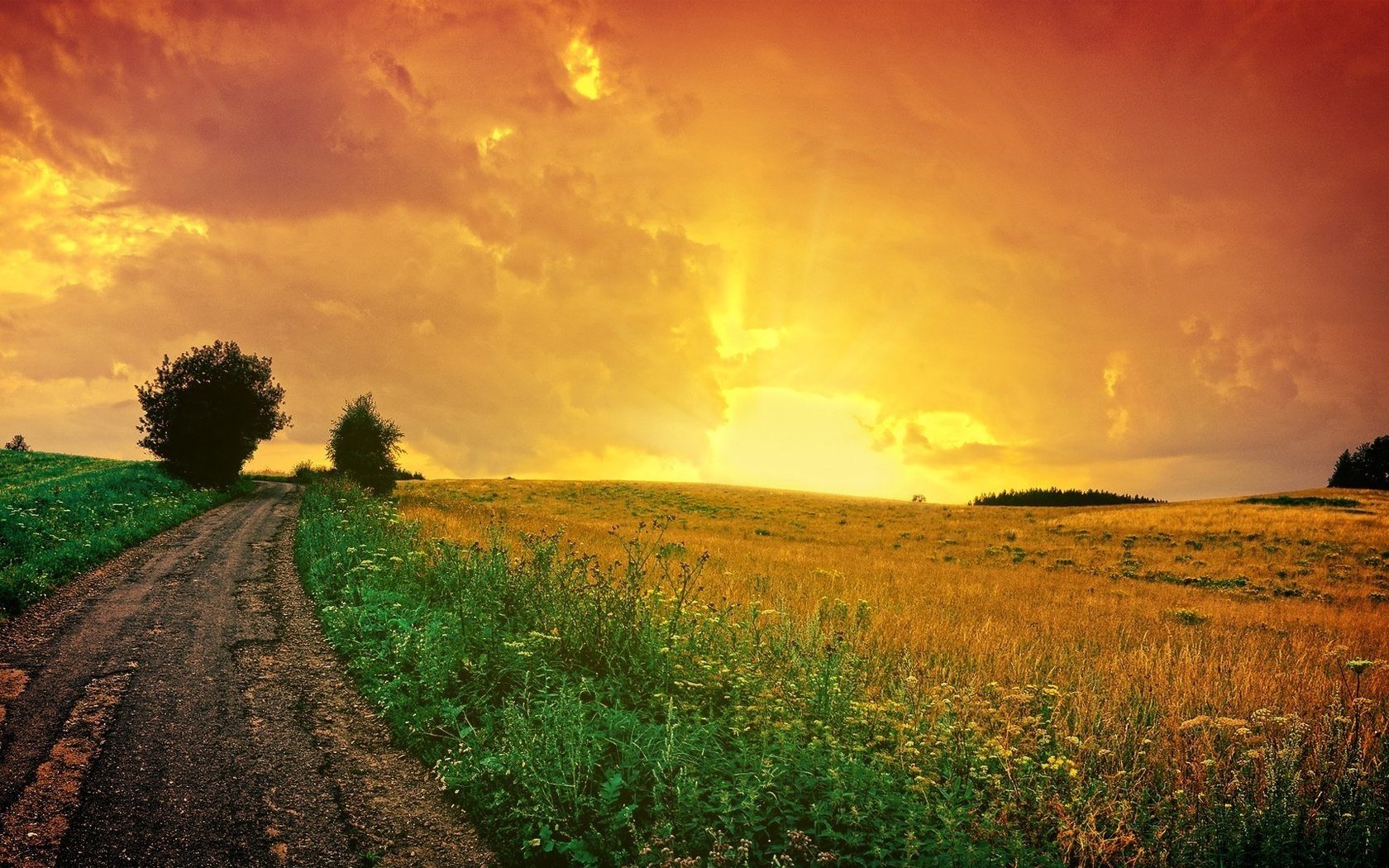 《飞鸟与夏花》每天一首自译飞鸟集（267-268/325） - Translate a poem from Stray Birds every day