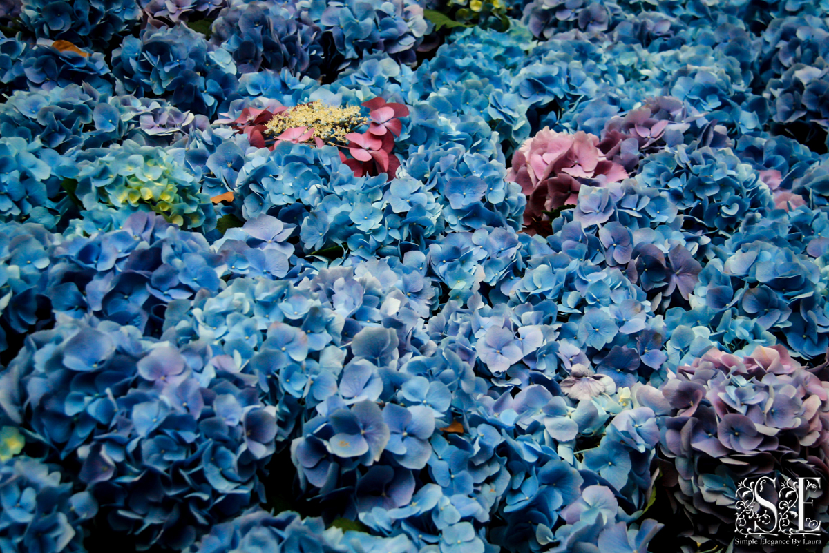 Flower Power (10).jpg