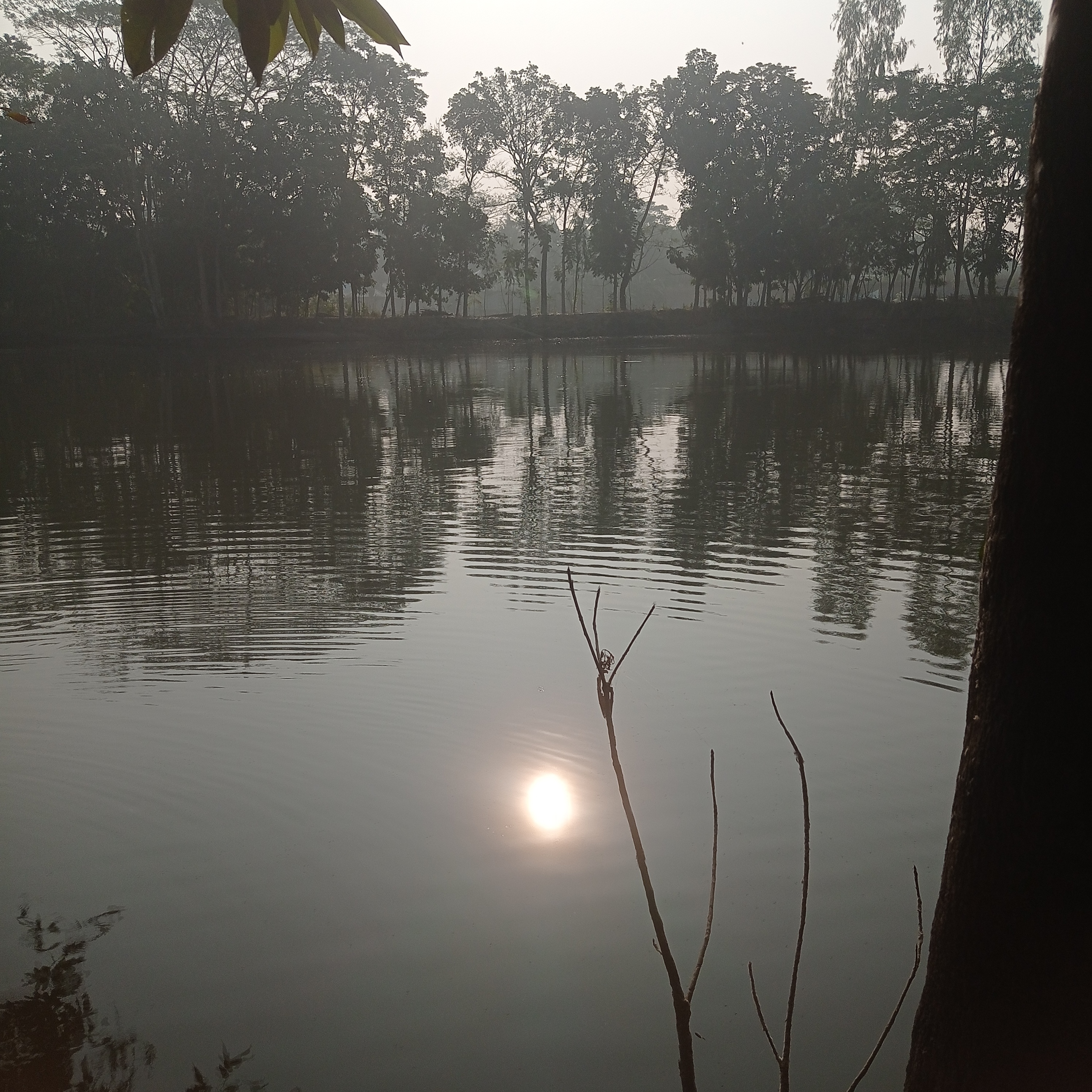 IMG_20260124_084947.jpg